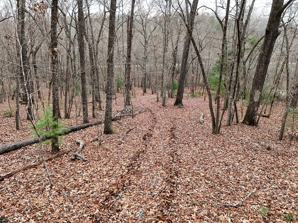 Blue Ridge, Georgia, 30513, United States, ,Land,For Sale,1859049