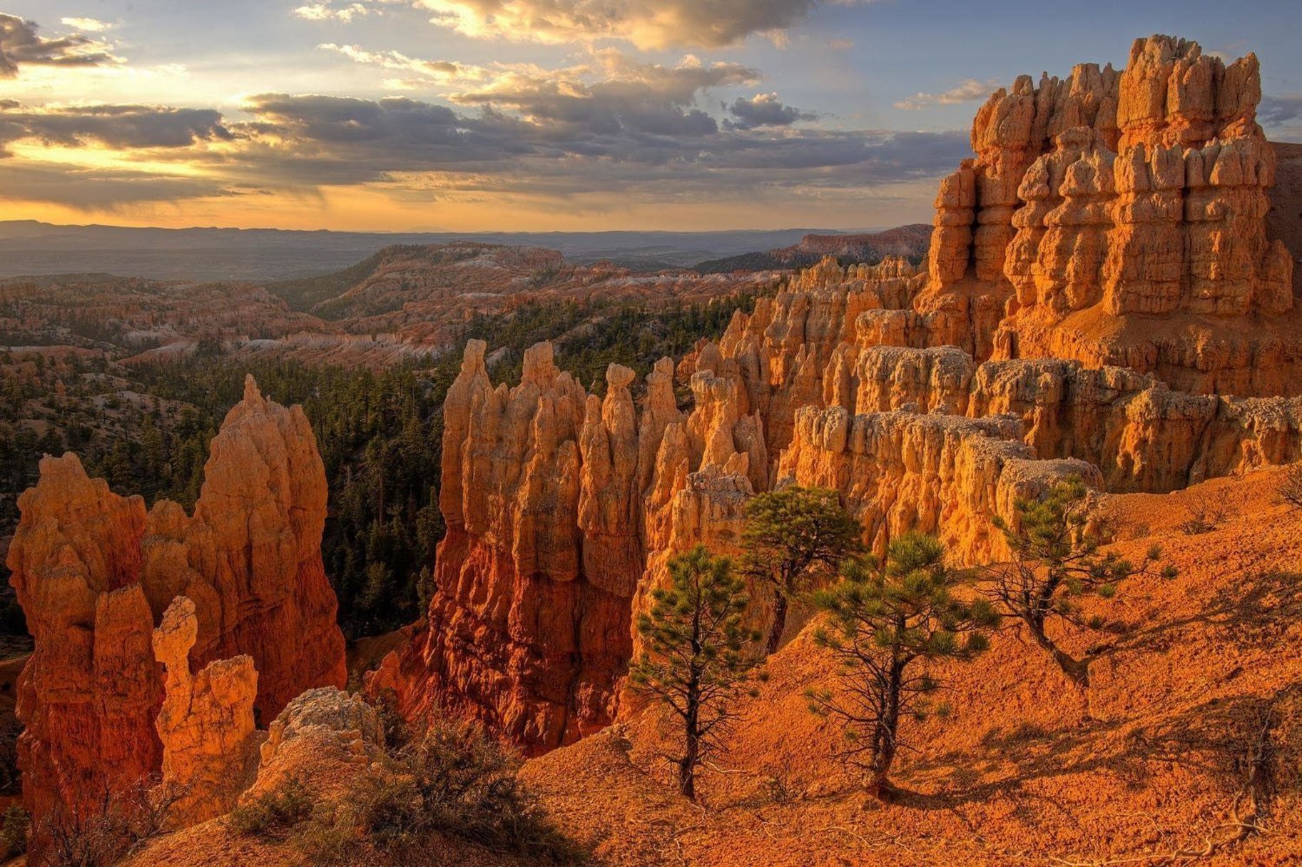  Breathtaking VieW On The Ridge At Coral Canyon - 物件實景