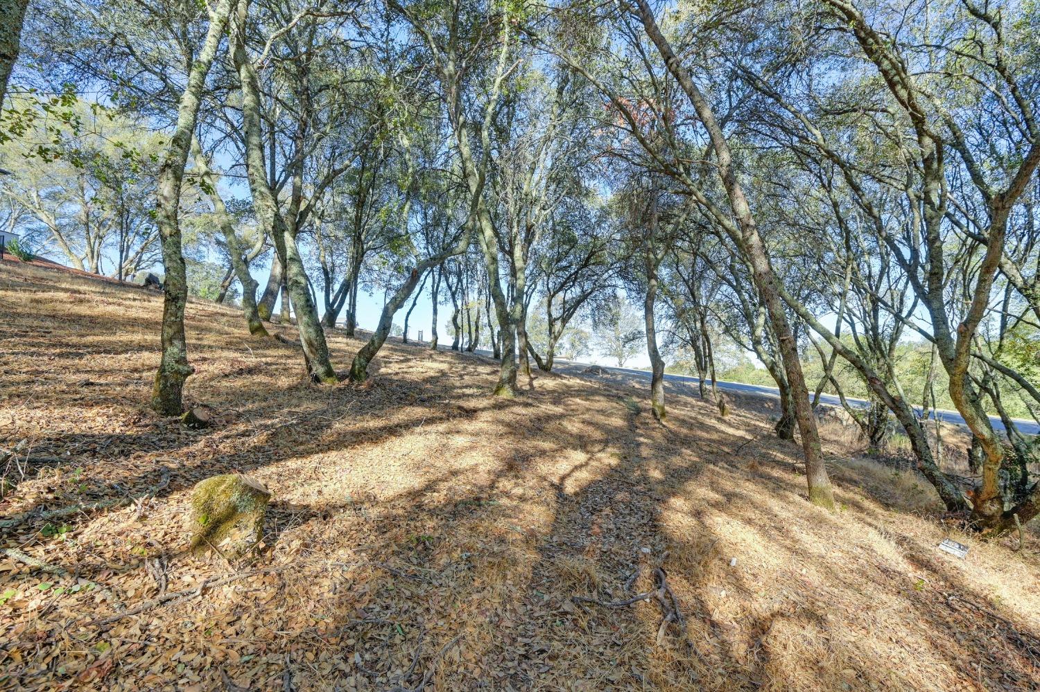 El Dorado Hills, California, 95762, United States, ,Land,For Sale,1993227