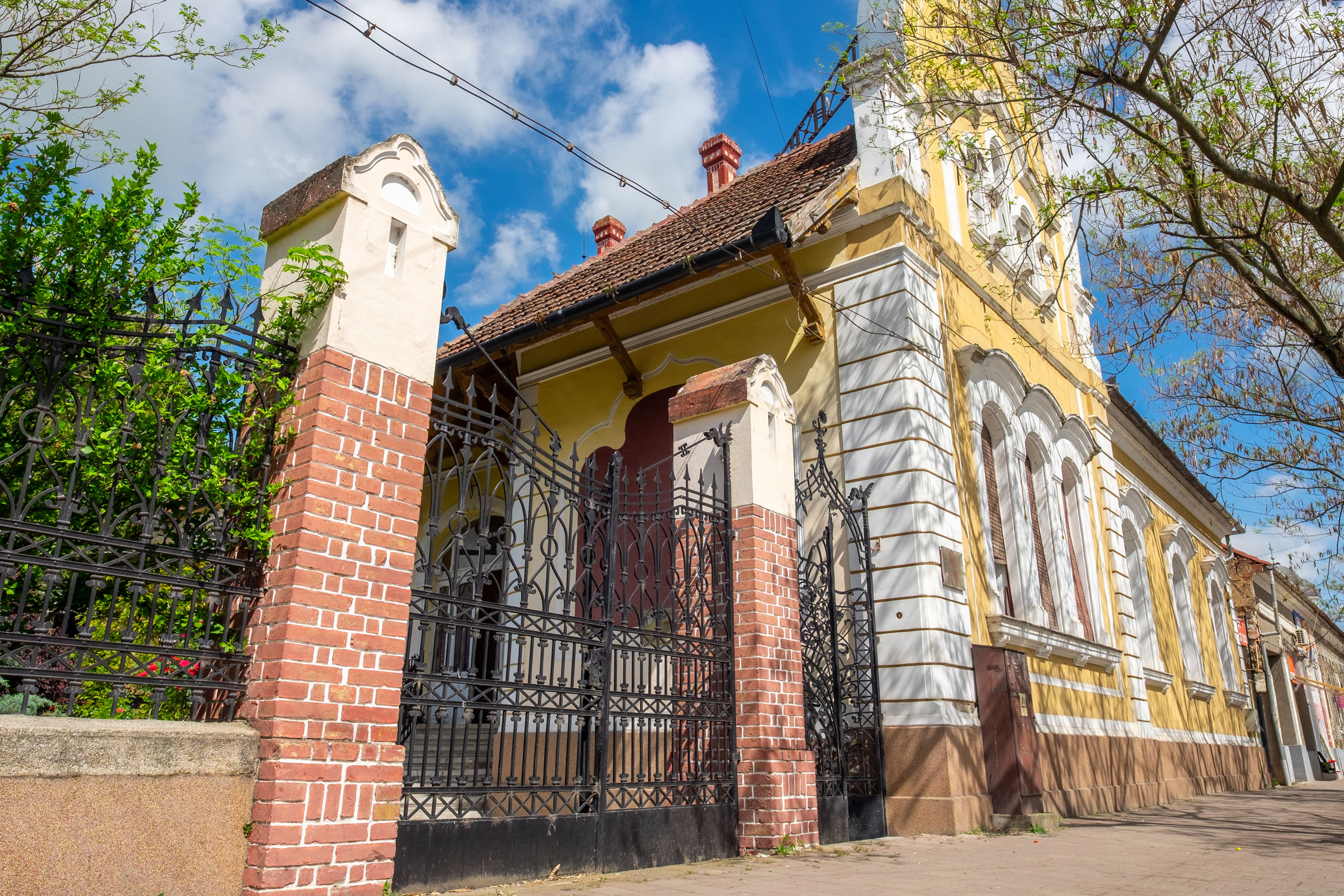  Ferch Manor - History and Tradition near Timioara - 物件實景
