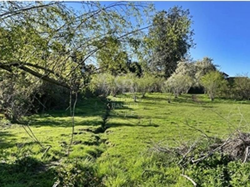 Frutillar, Chile, ,Residential,For Sale,1885462
