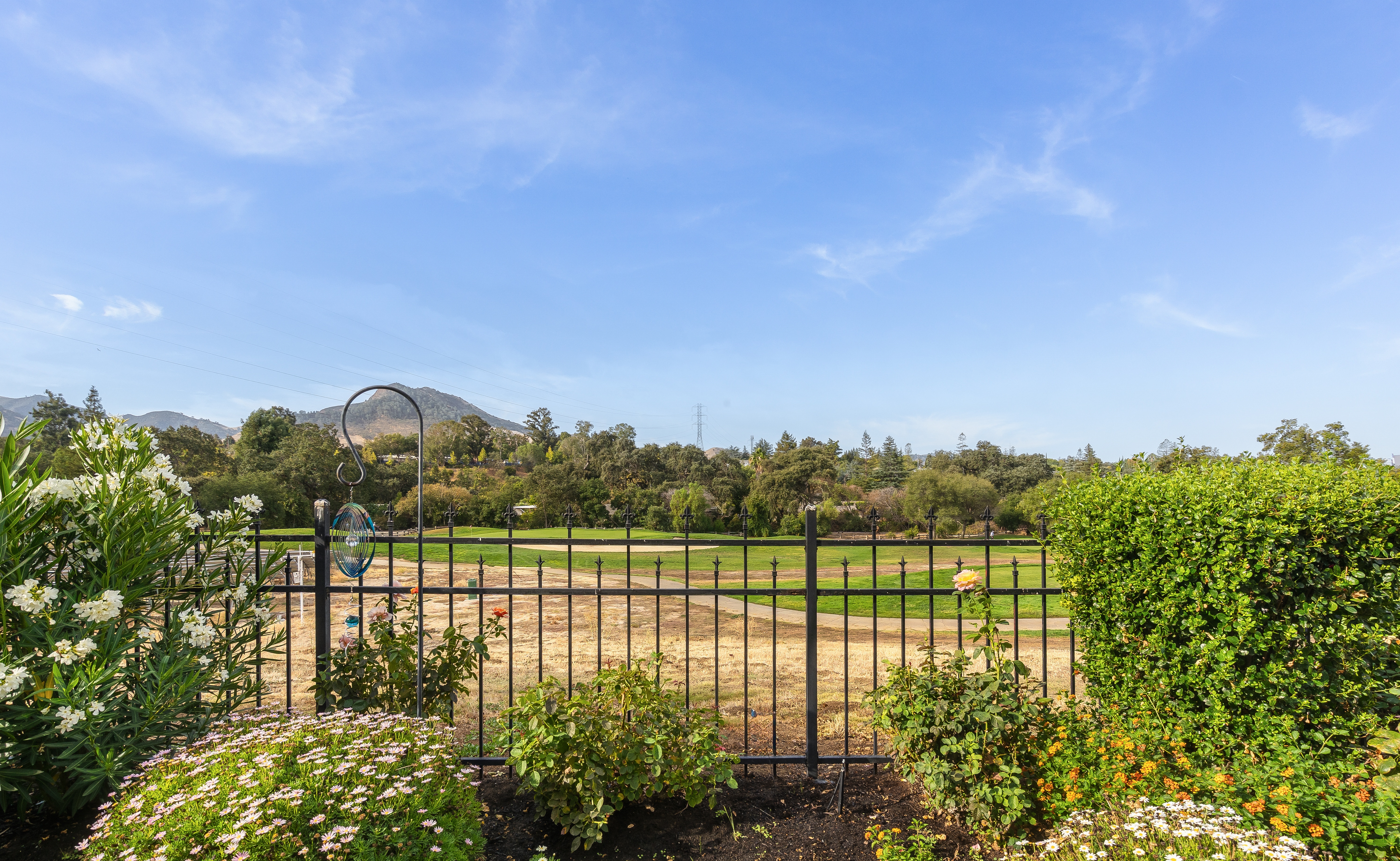  Living in a Postcard of Panoramic Green Views and Mount Diablo - 物件實景