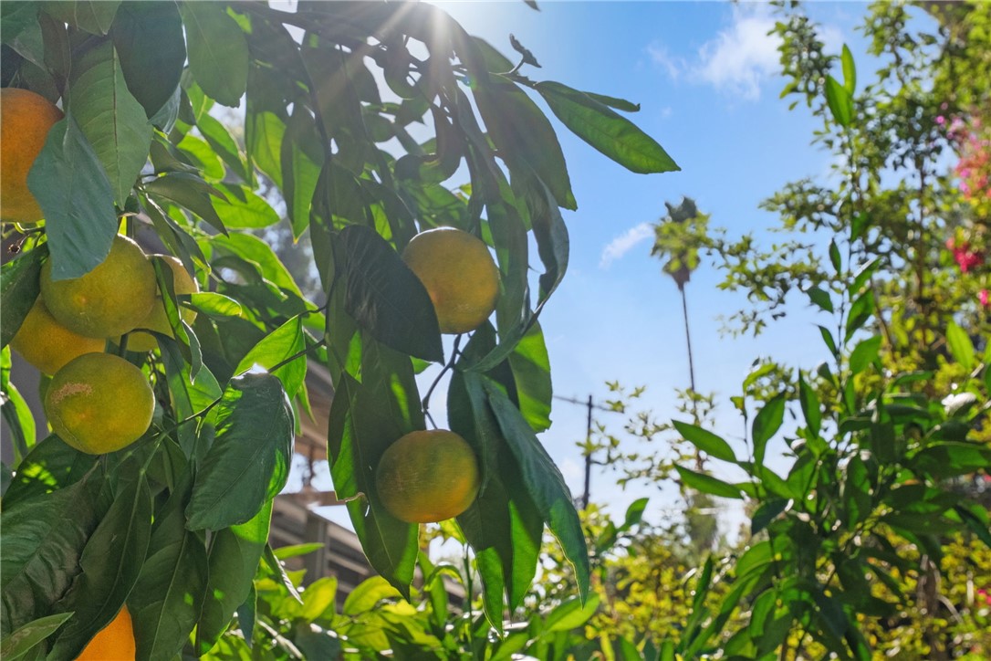 Riverside, California, 92506, United States, 3 Bedrooms Bedrooms, ,1 BathroomBathrooms,Residential,For Sale,1988084