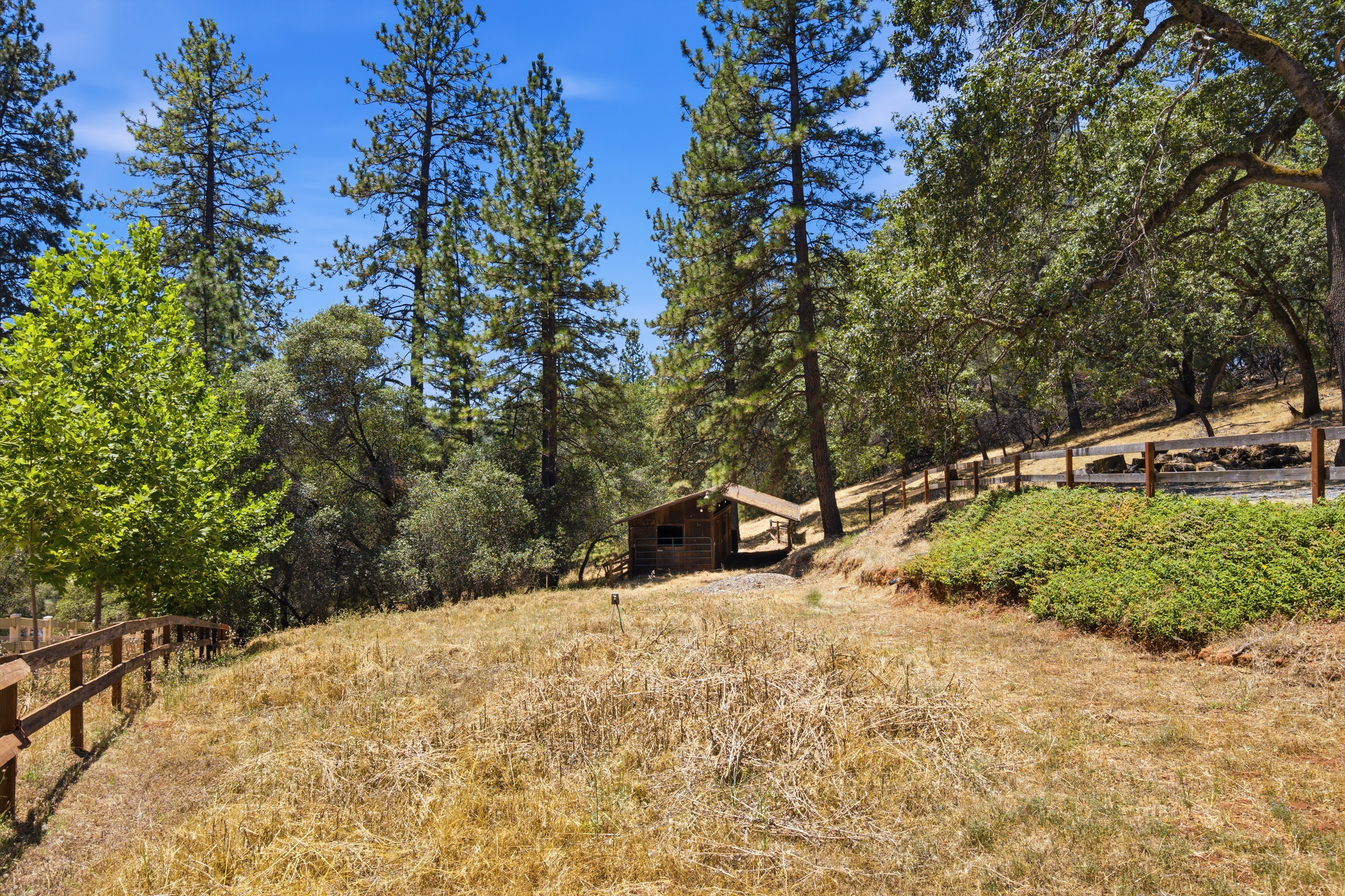  2202 Big Nugget Court, Cool, CA 95614 - 物件實景