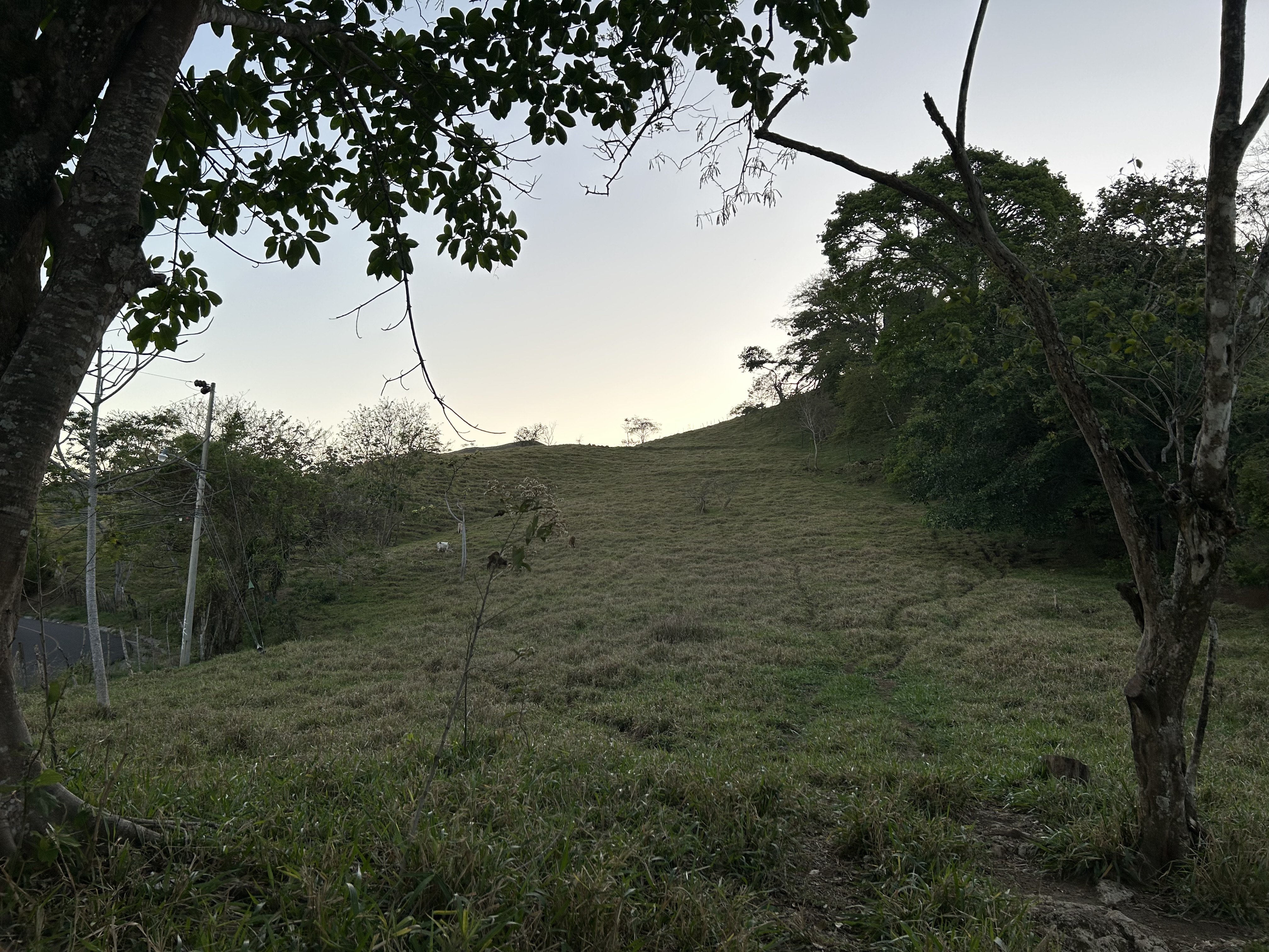 Atenas, Alajuela, CR, ,Land,For Sale,1627733