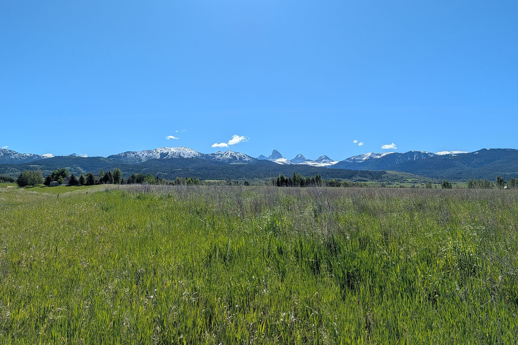  Snow Crest Ranch Drive - 物件實景