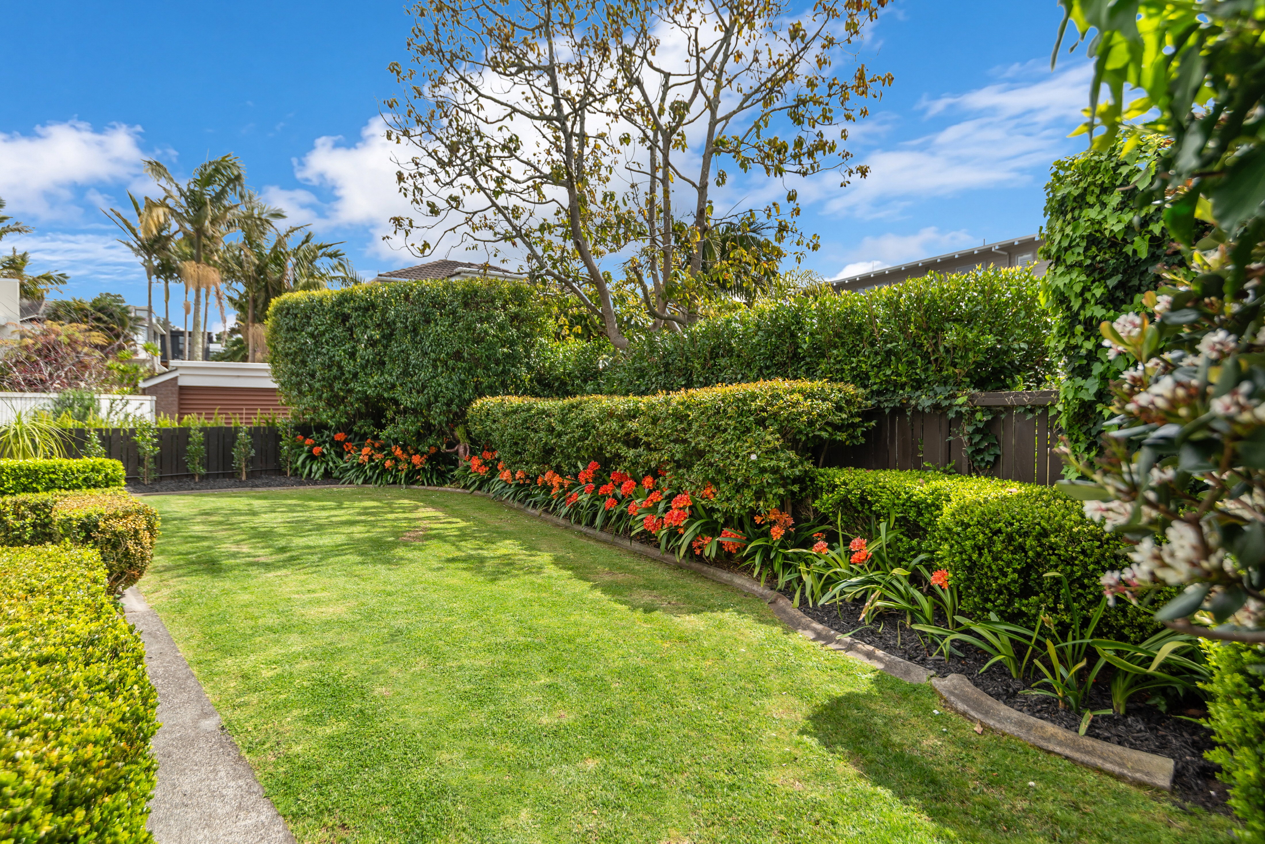  2/24 Eltham Road, Kohimarama - 物件實景