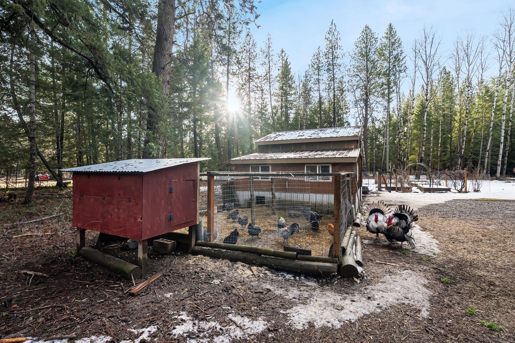  Charming Country Home on 10 Acres - 物件實景