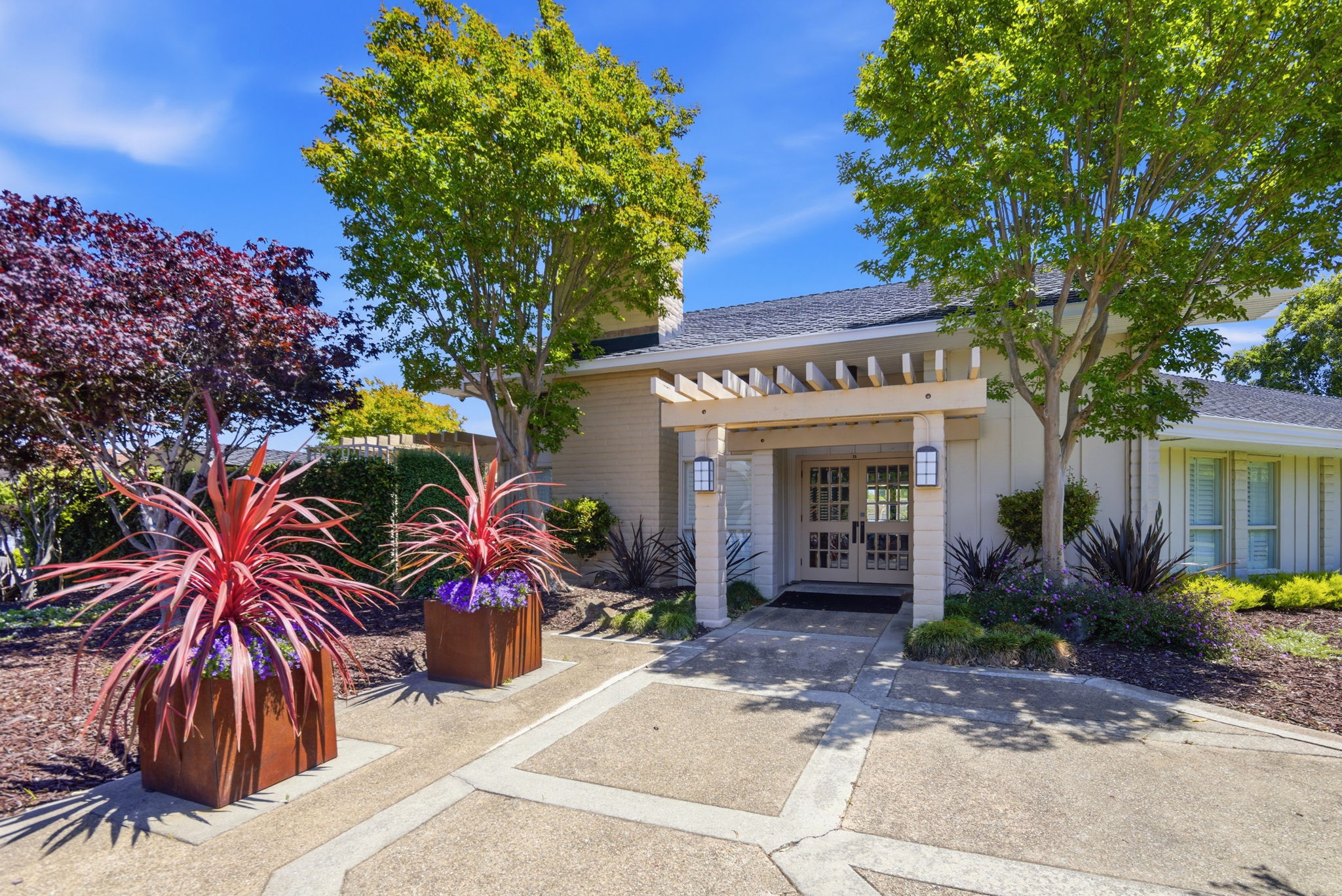  Modern San Carlos Hills Retreat - 物件實景