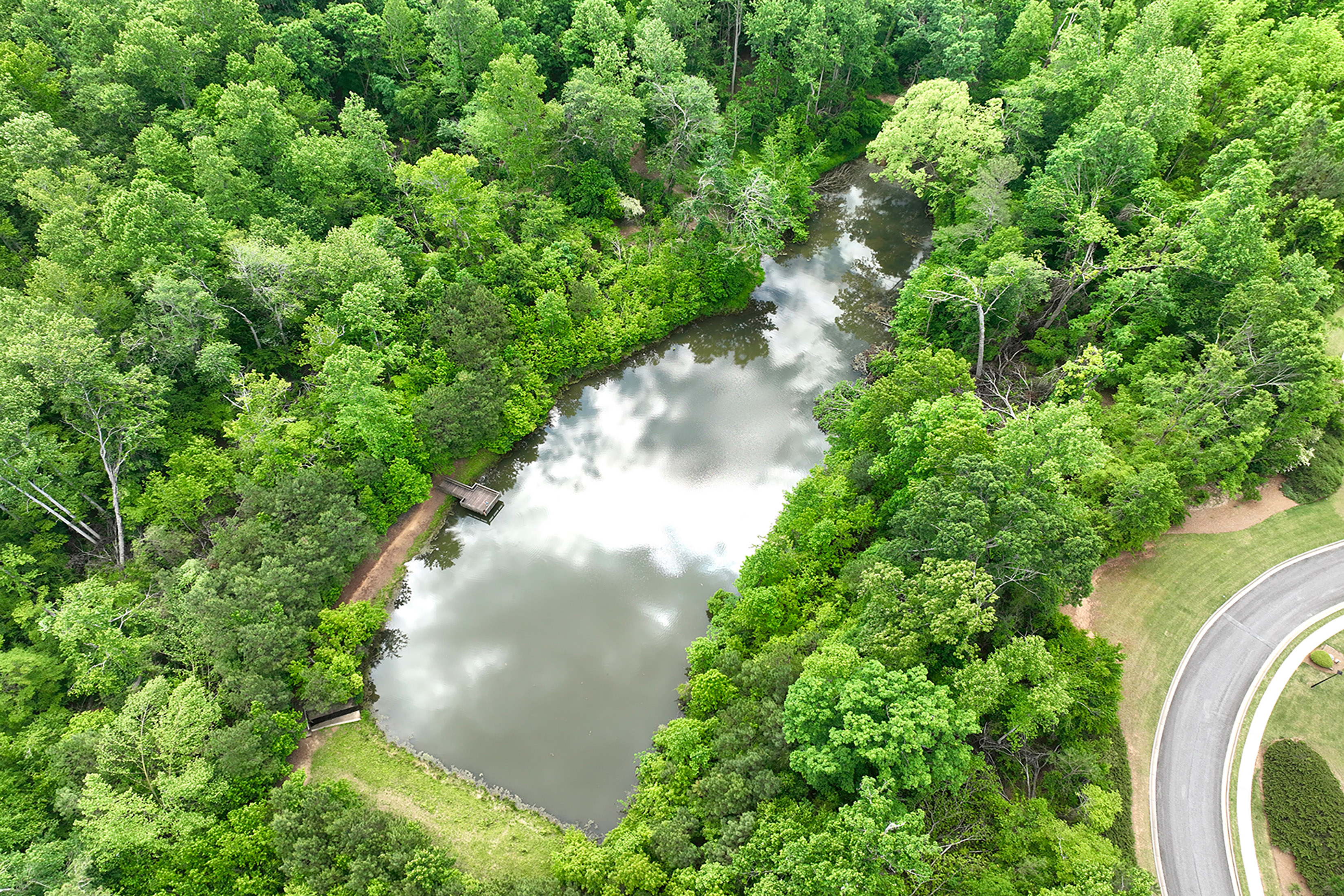  Classic Beauty in Amenity-rich Parkstone Community - 物件實景