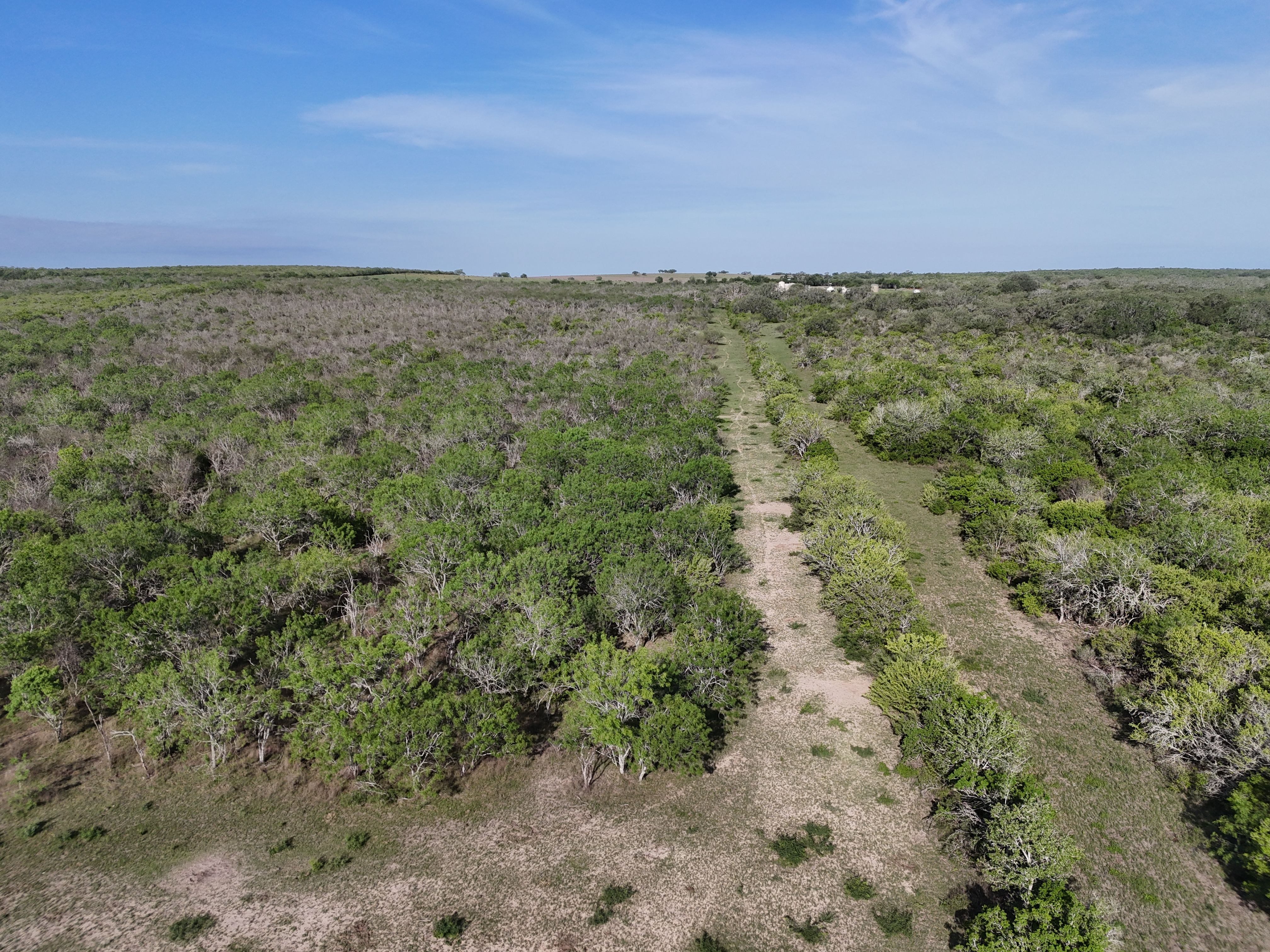 810+/- Acre Cabeza Creek Ranch - 物件實景