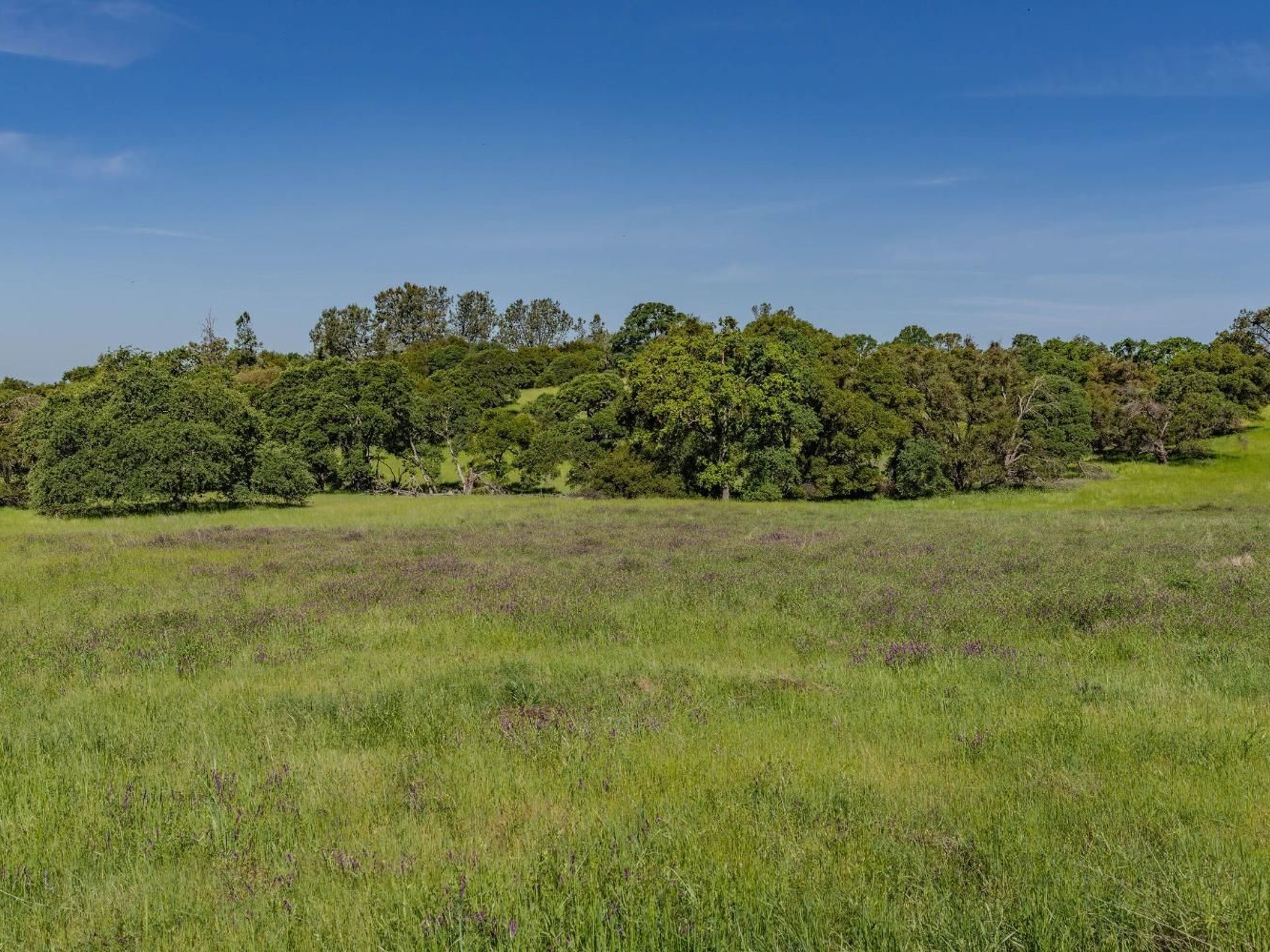  10865 Sunset Drive, Sutter Creek, CA 95685 - 物件實景