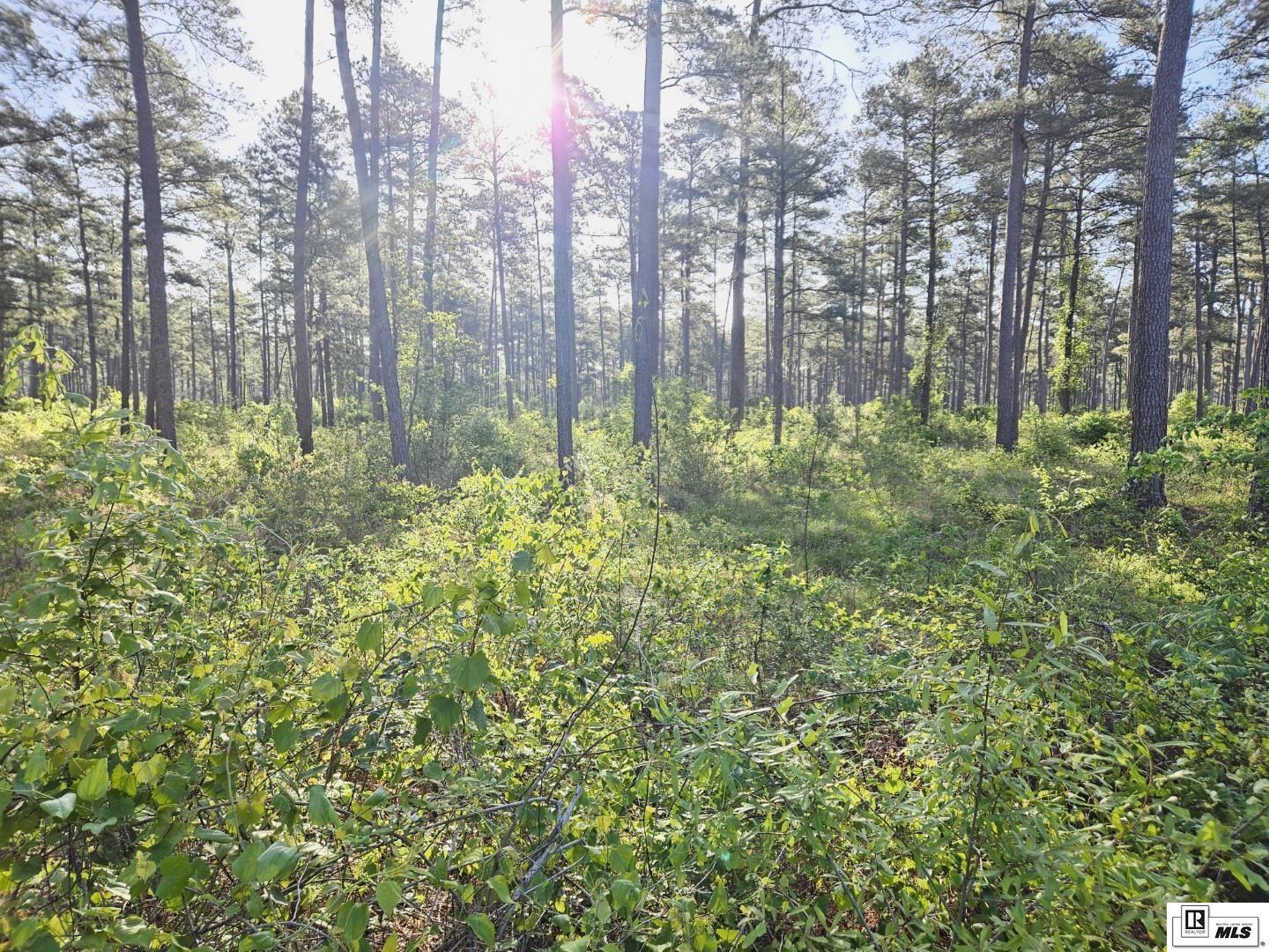 00 HIGHWAY 143, West Monroe, Louisiana, 71291, United States, ,Land,For Sale,00 HIGHWAY 143,1620835