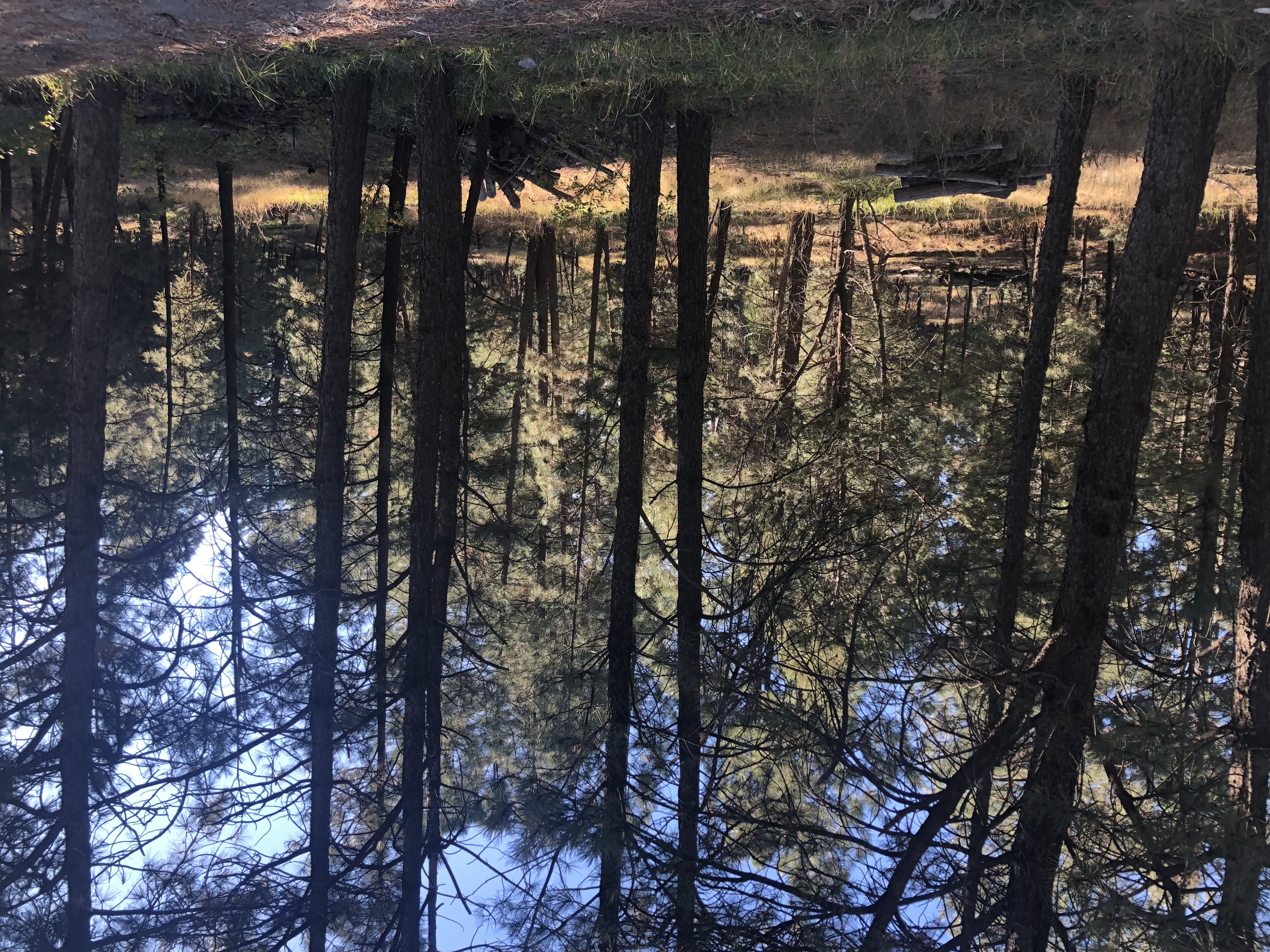 Alto, New Mexico, 88312, United States, 3 Bedrooms Bedrooms, ,2 BathroomsBathrooms,Residential,For Sale,1999145