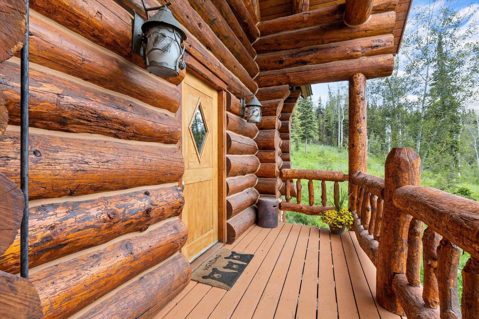  30232 Bear Trail, Steamboat Springs, CO 80487 - 物件實景