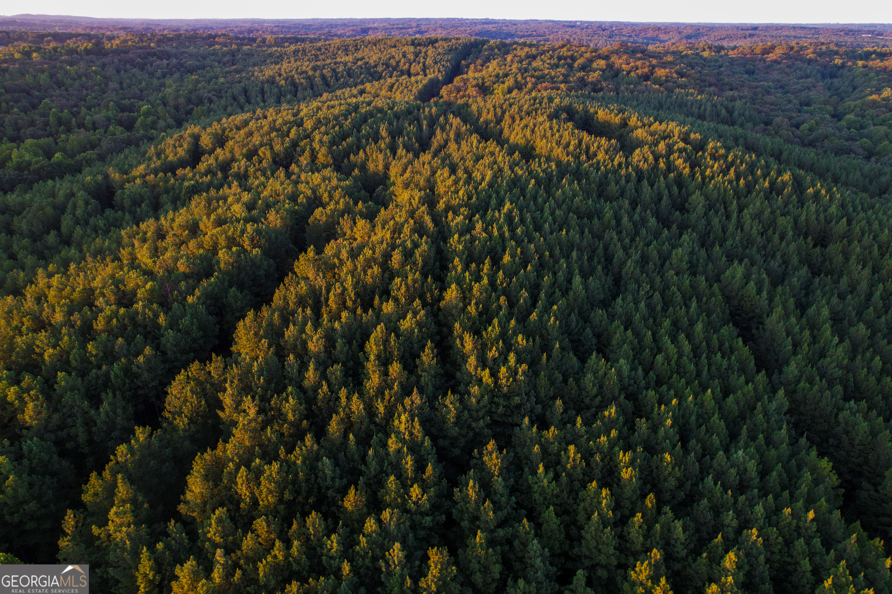 Bowman, Georgia, 30624, United States, ,Land,For Sale,1988197