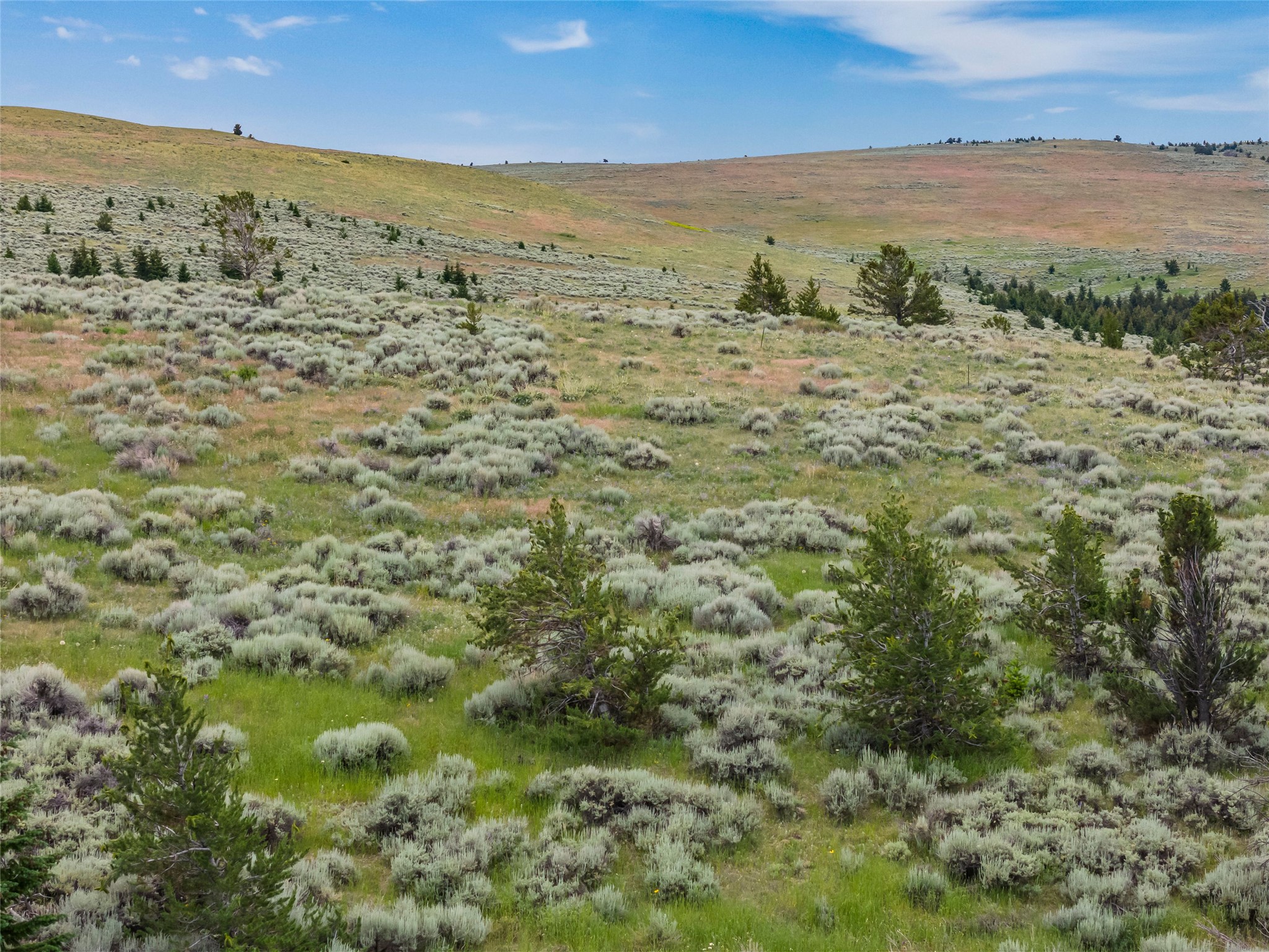  380 W Boulder Road - 物件實景
