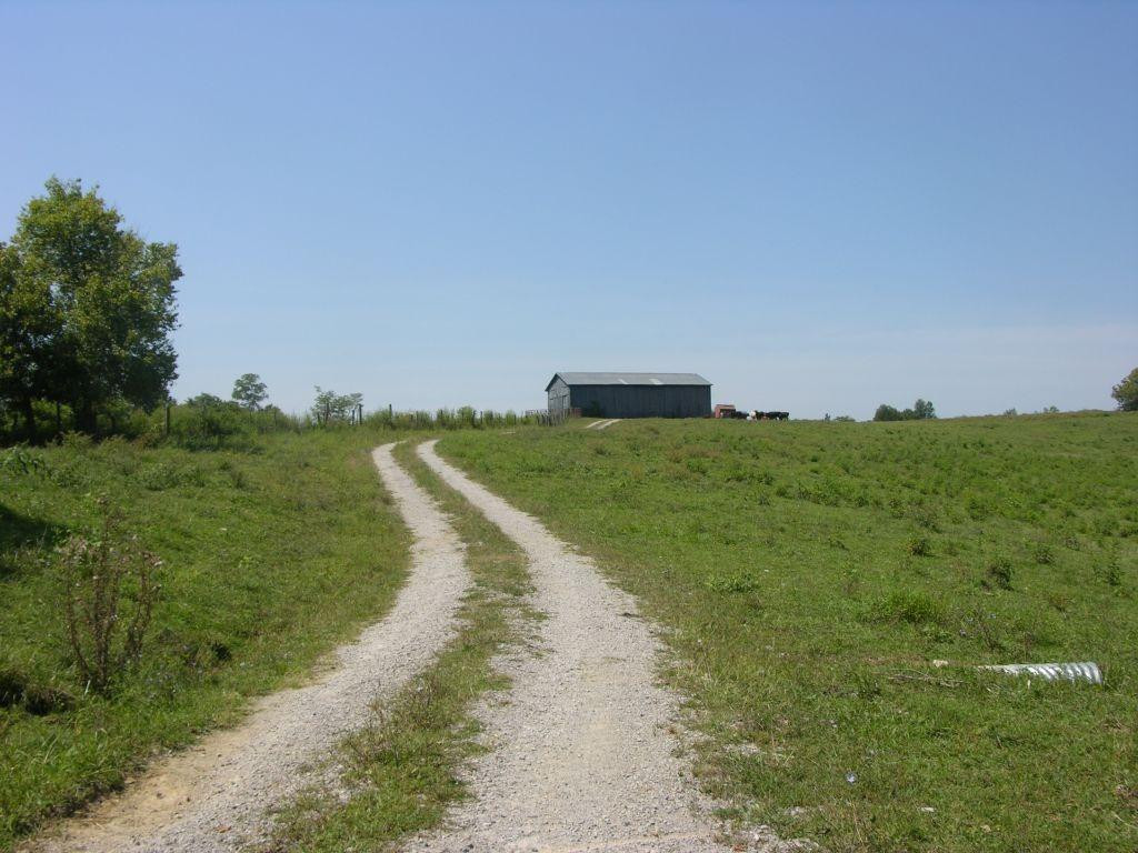 1400 Curtis Pike, Richmond, Kentucky, 40475, United States, ,Land,For Sale,1400 Curtis Pike,1616978