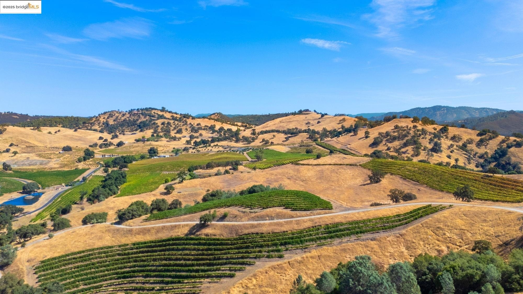 Murphys, California, 95247, United States, ,Land,For Sale,1975931