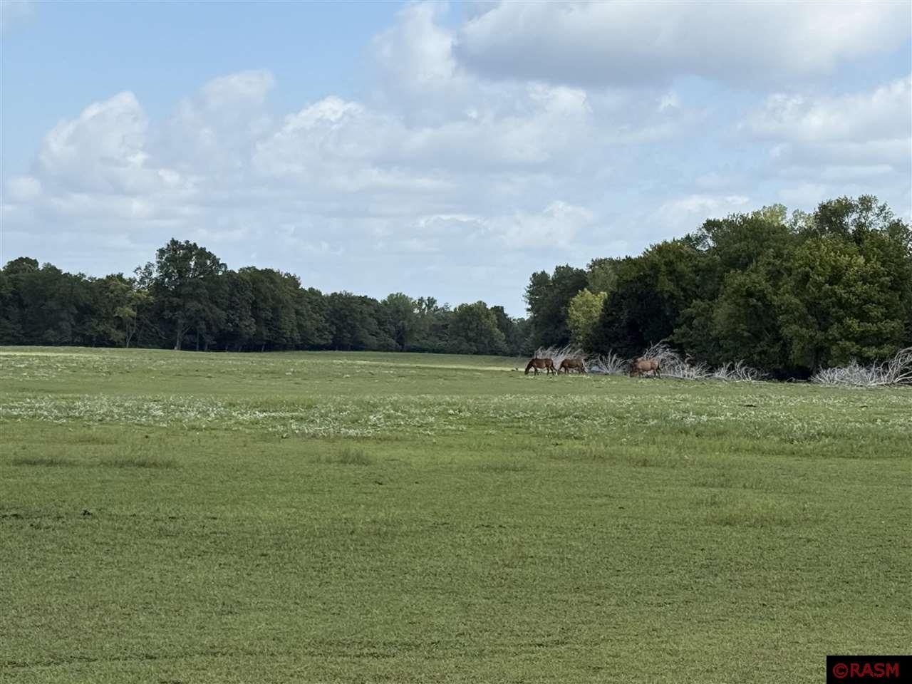 North Mankato, Minnesota, 56003, United States, ,Land,For Sale,1977593