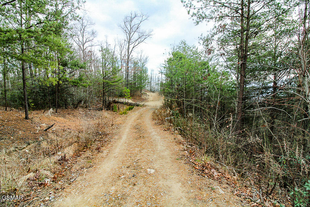 Sevierville, Tennessee, 37876, United States, ,Land,For Sale,2009102