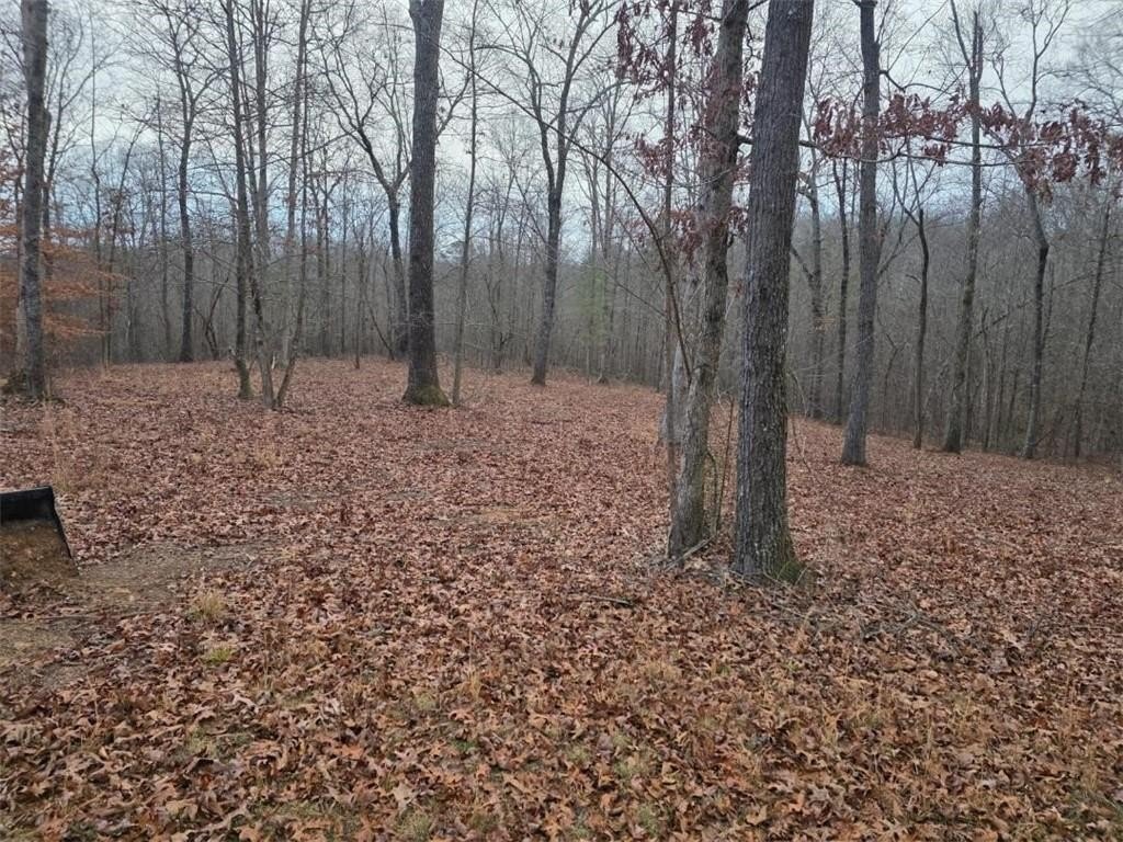 Talking Rock, Georgia, 30175, United States, 1 Bedroom Bedrooms, ,1 BathroomBathrooms,Residential,For Sale,2005739