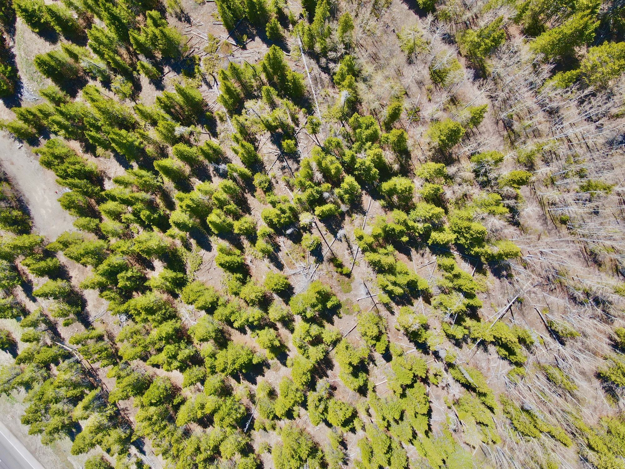  Giberson Preserve Lot 9 - 物件實景