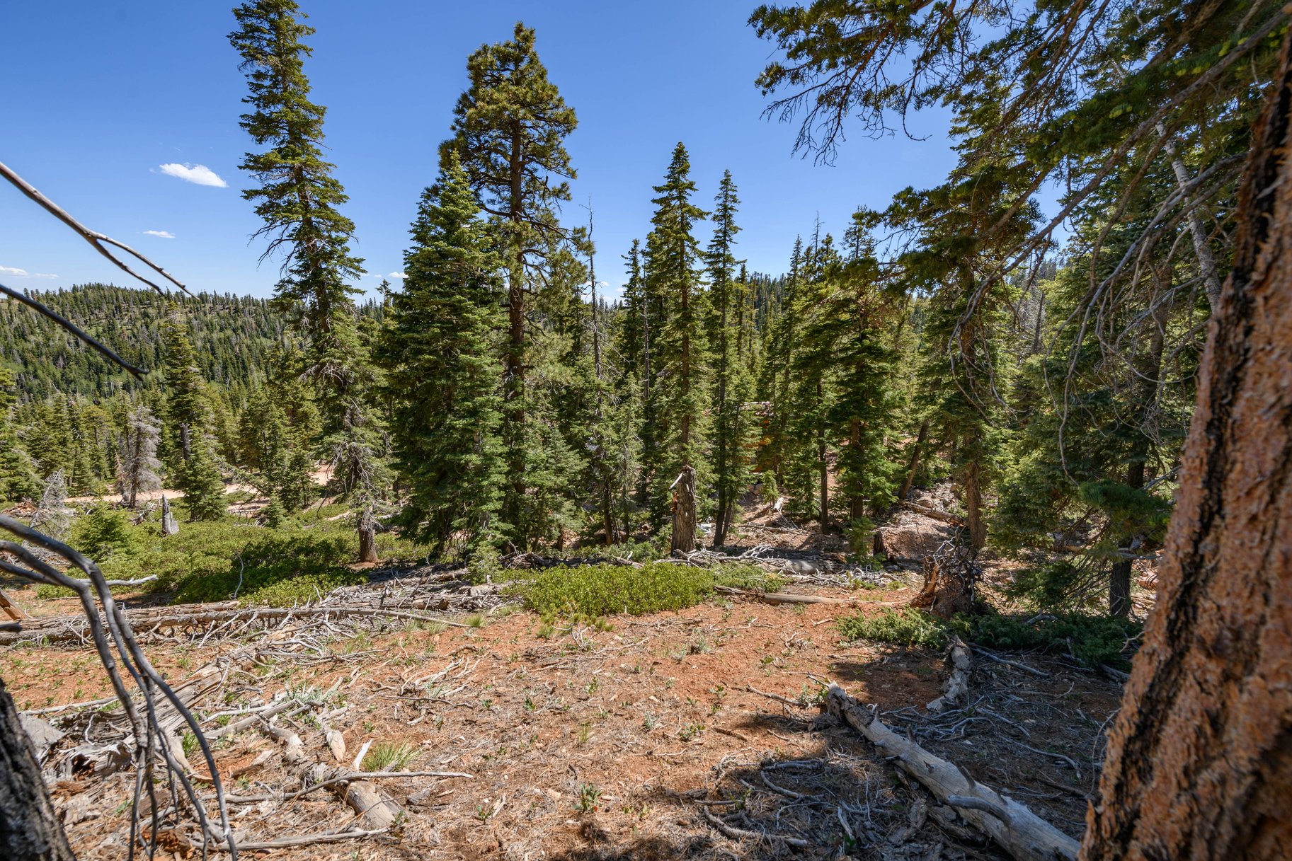  Quiet Mountain Retreat Near Navajo Lake - 物件實景