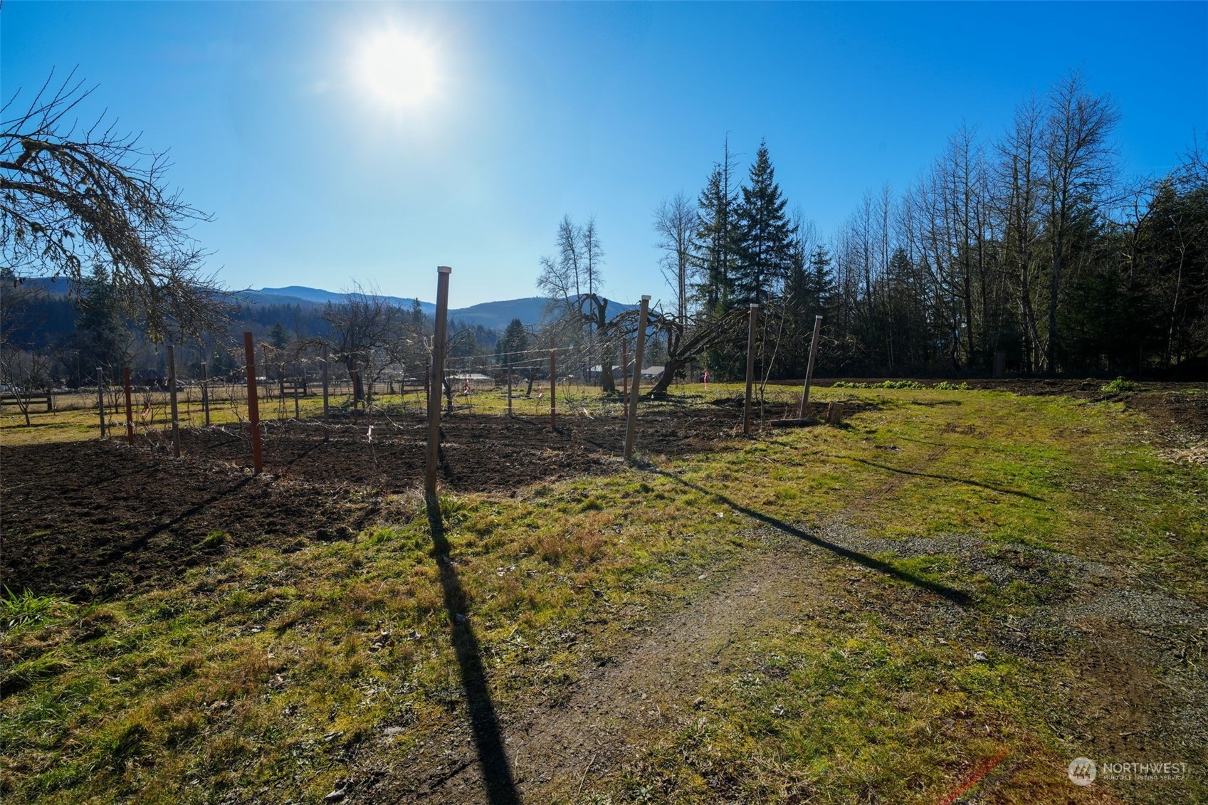 Glenoma, Washington, 98336, United States, 3 Bedrooms Bedrooms, ,2 BathroomsBathrooms,Residential,For Sale,1976898