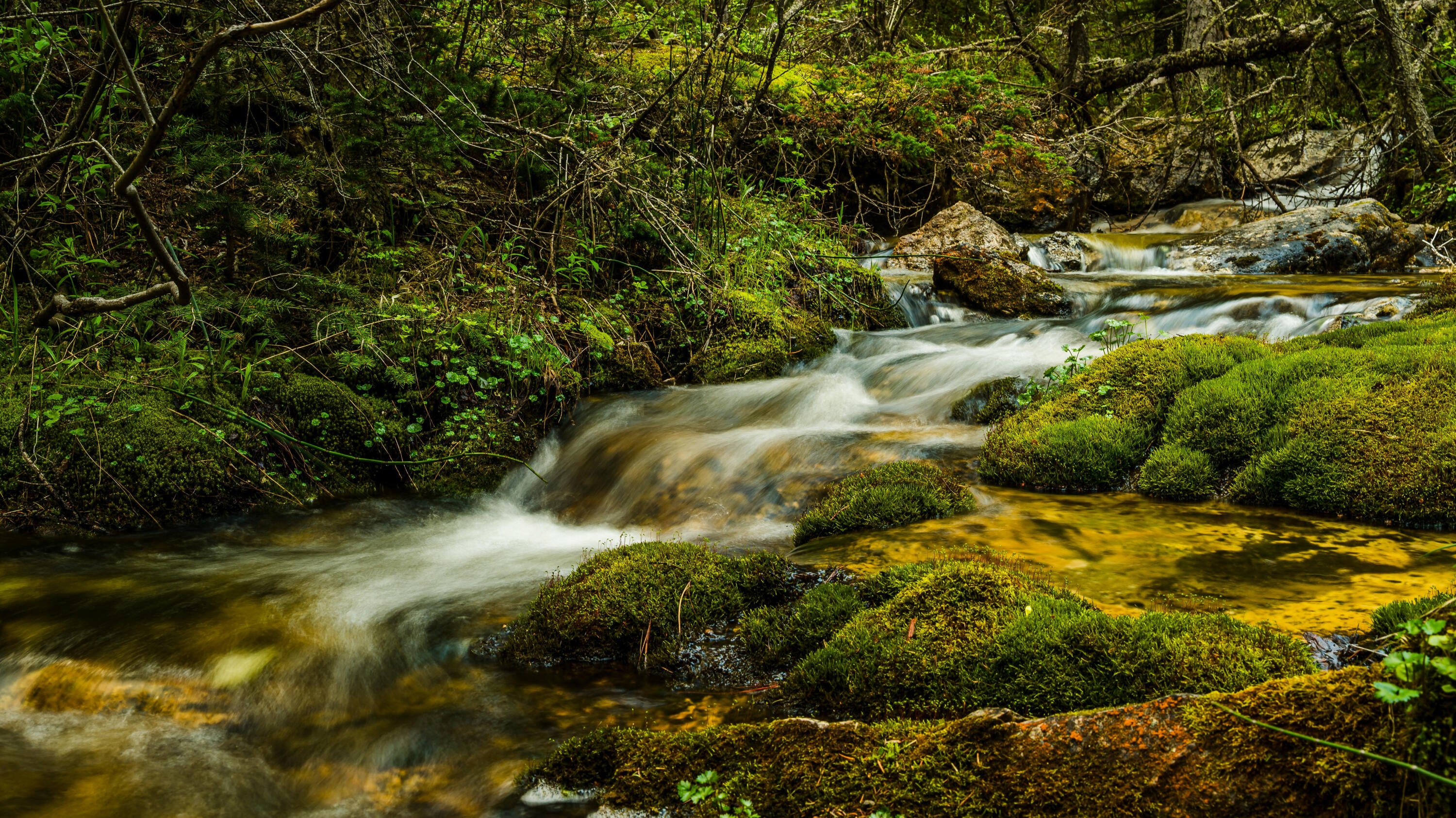 Big Horn, Wyoming, 82833, United States, ,Residential,For Sale,2011314