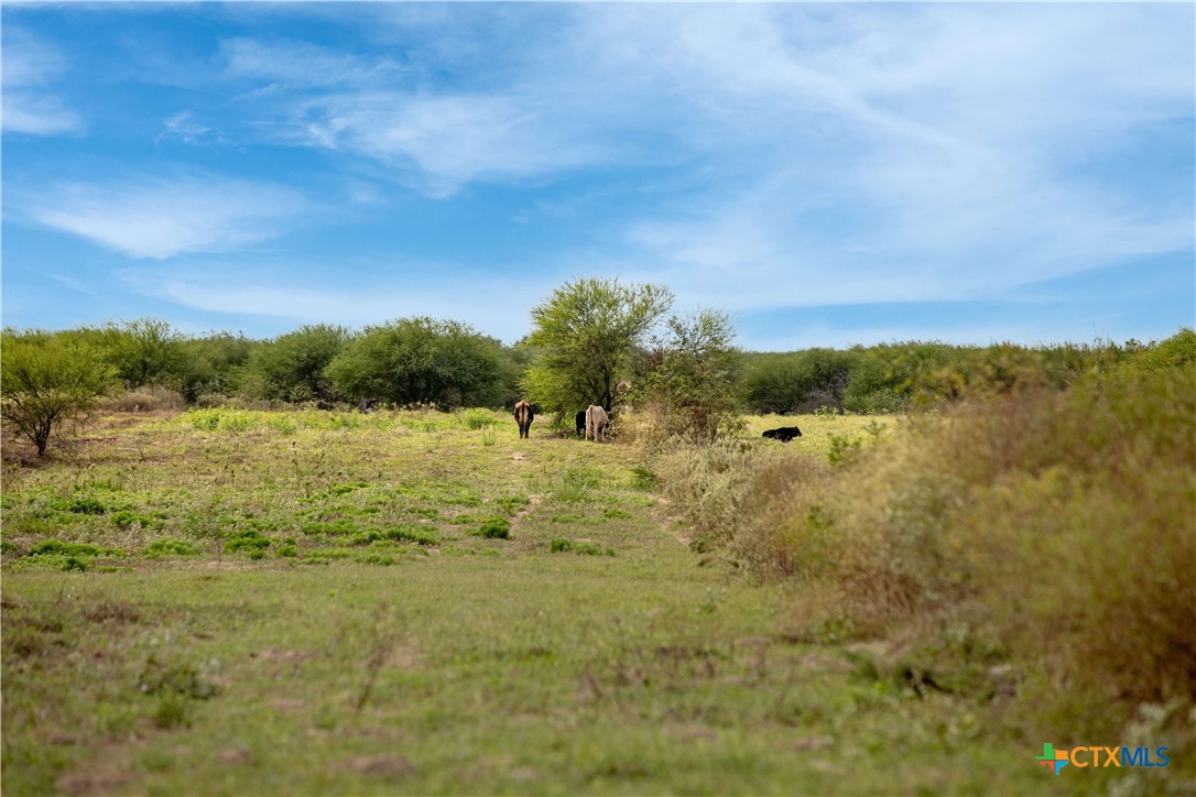 Tivoli, Texas, 77990, United States, ,Land,For Sale,1996181