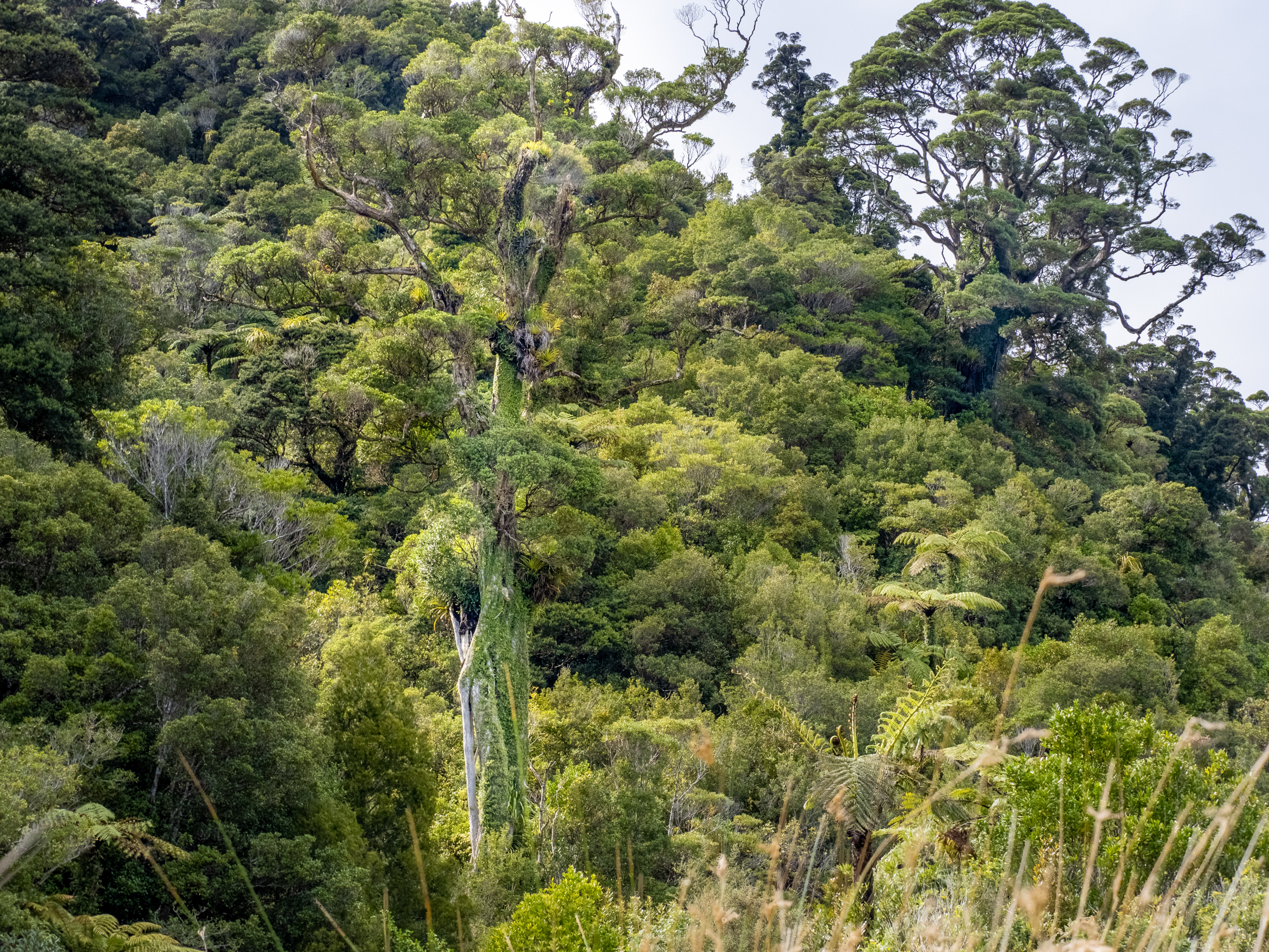  Ultimate West Coast Escape - 物件實景