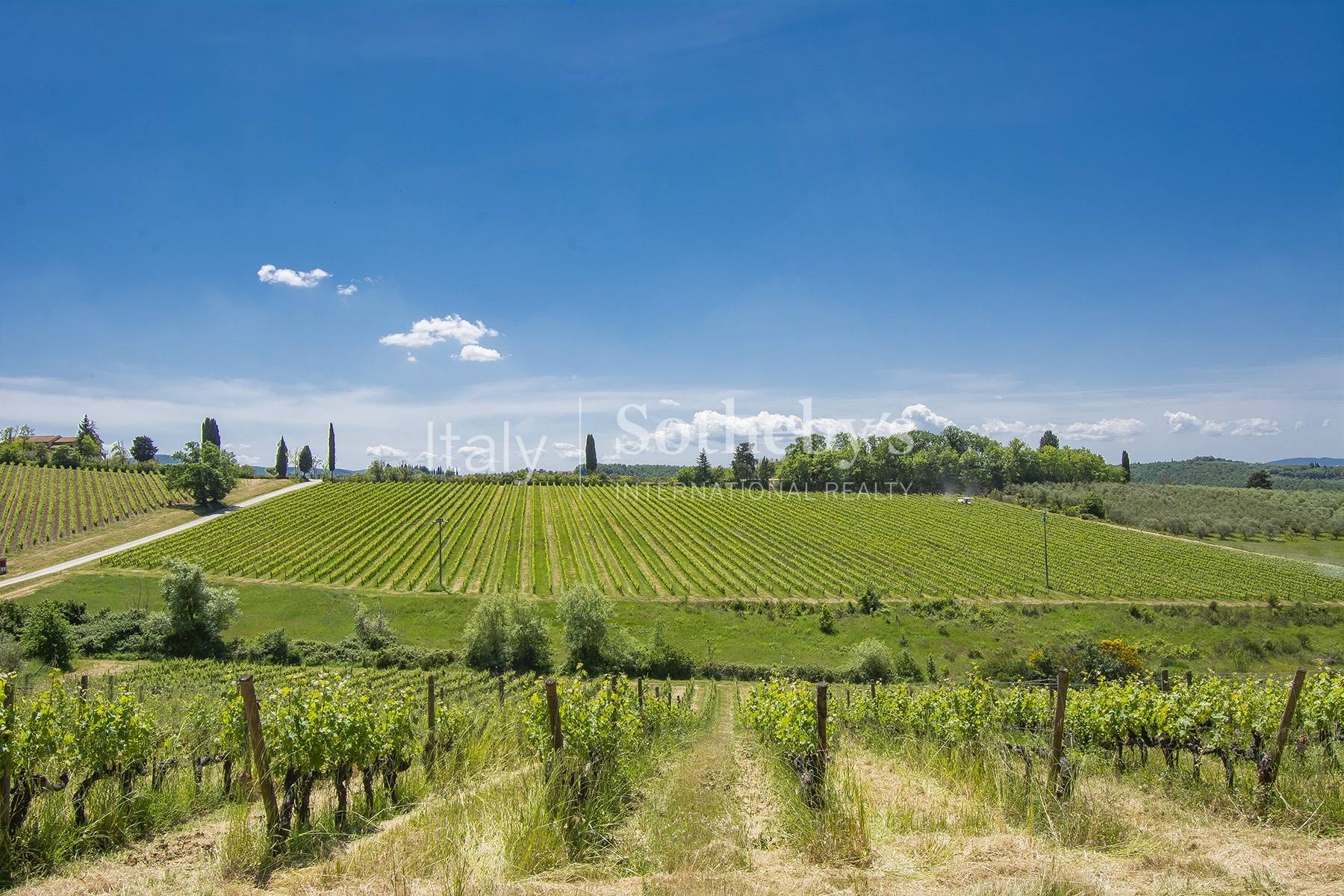  Esclusive wine estate in the heart of Chianti classico - 物件實景