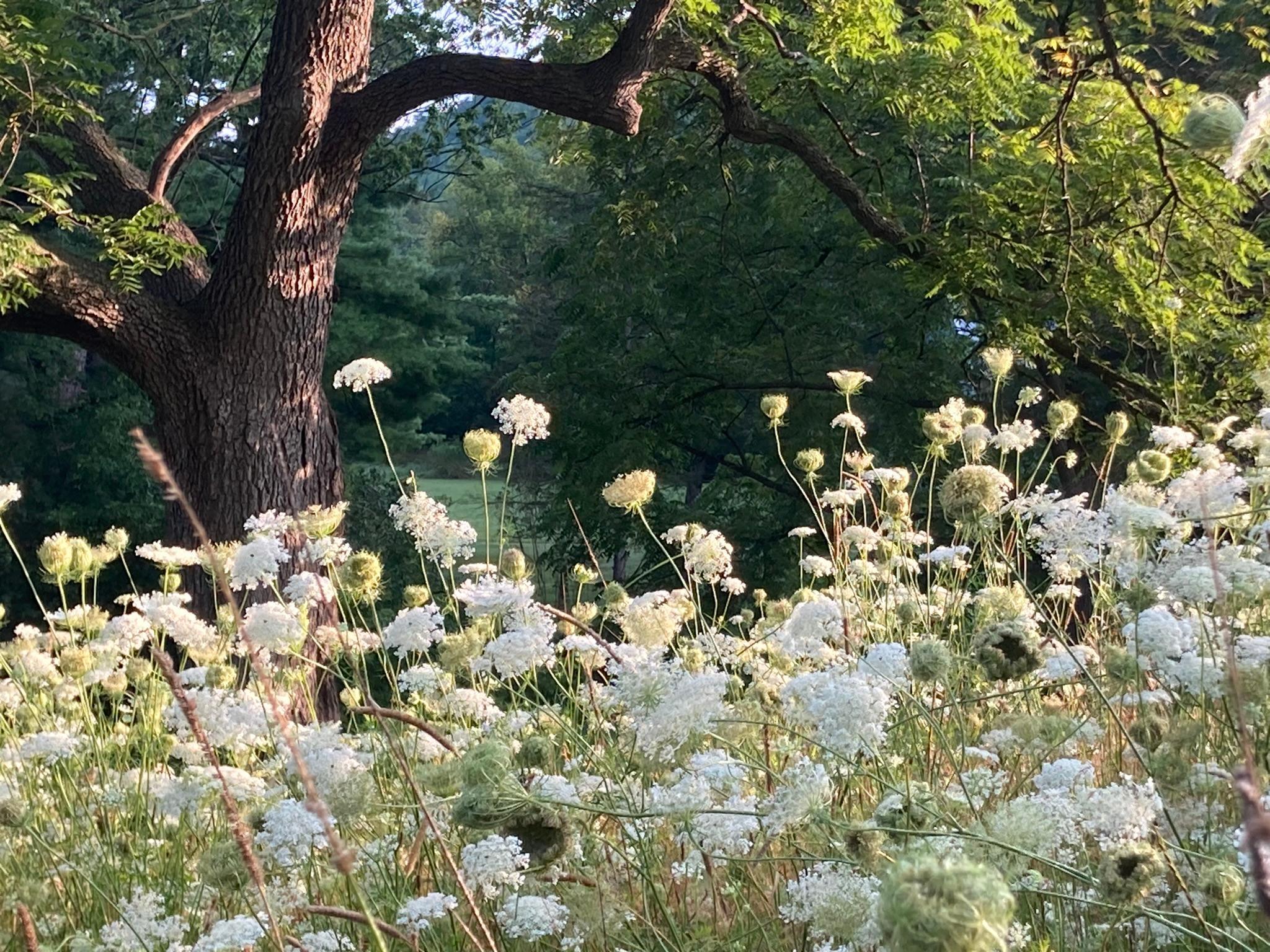 Winona, Minnesota, 55987, United States, 5 Bedrooms Bedrooms, ,2 BathroomsBathrooms,Residential,For Sale,2005788