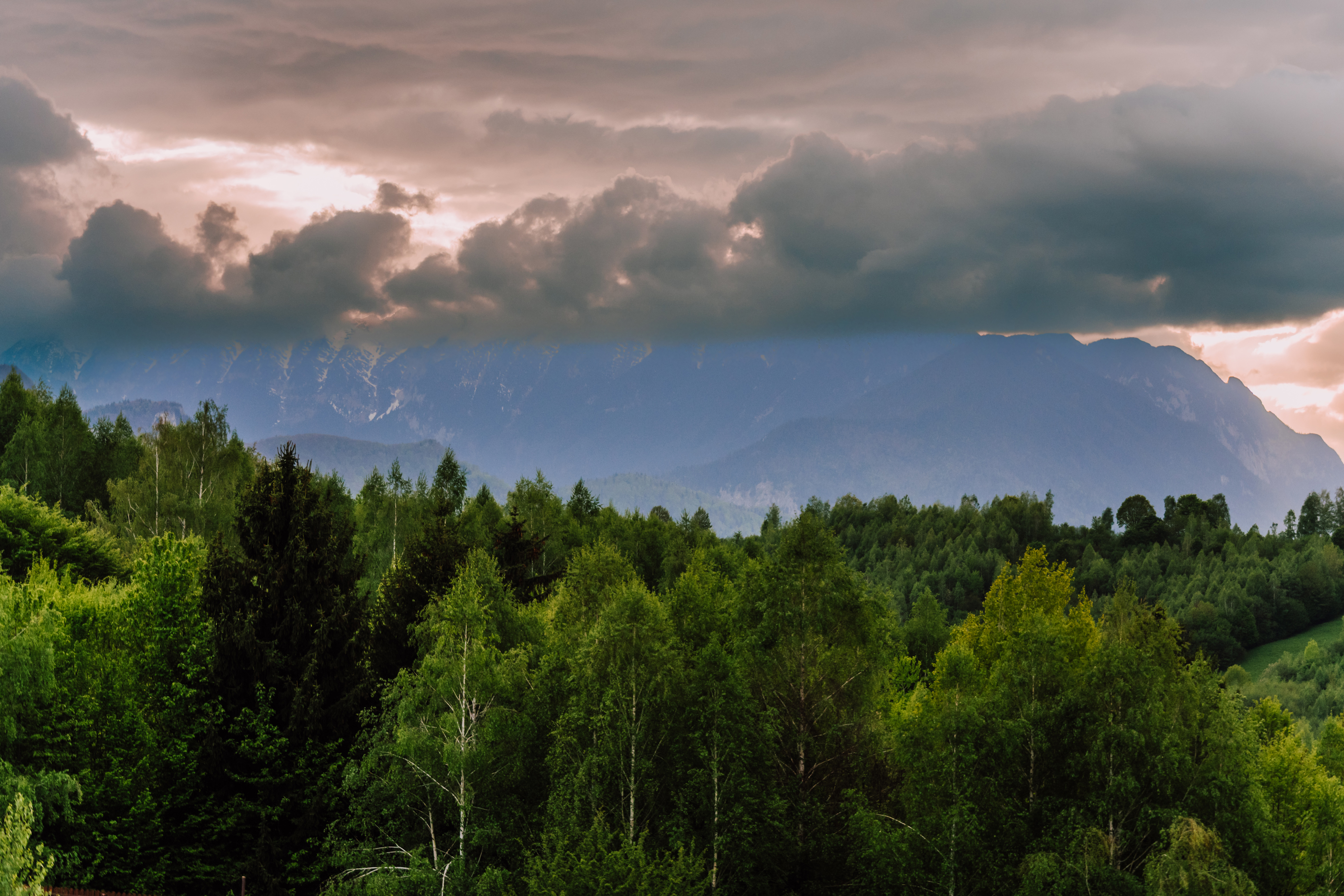  Skyline Chalet, the Cabin Between Forest and Mountains, Braov - 物件實景