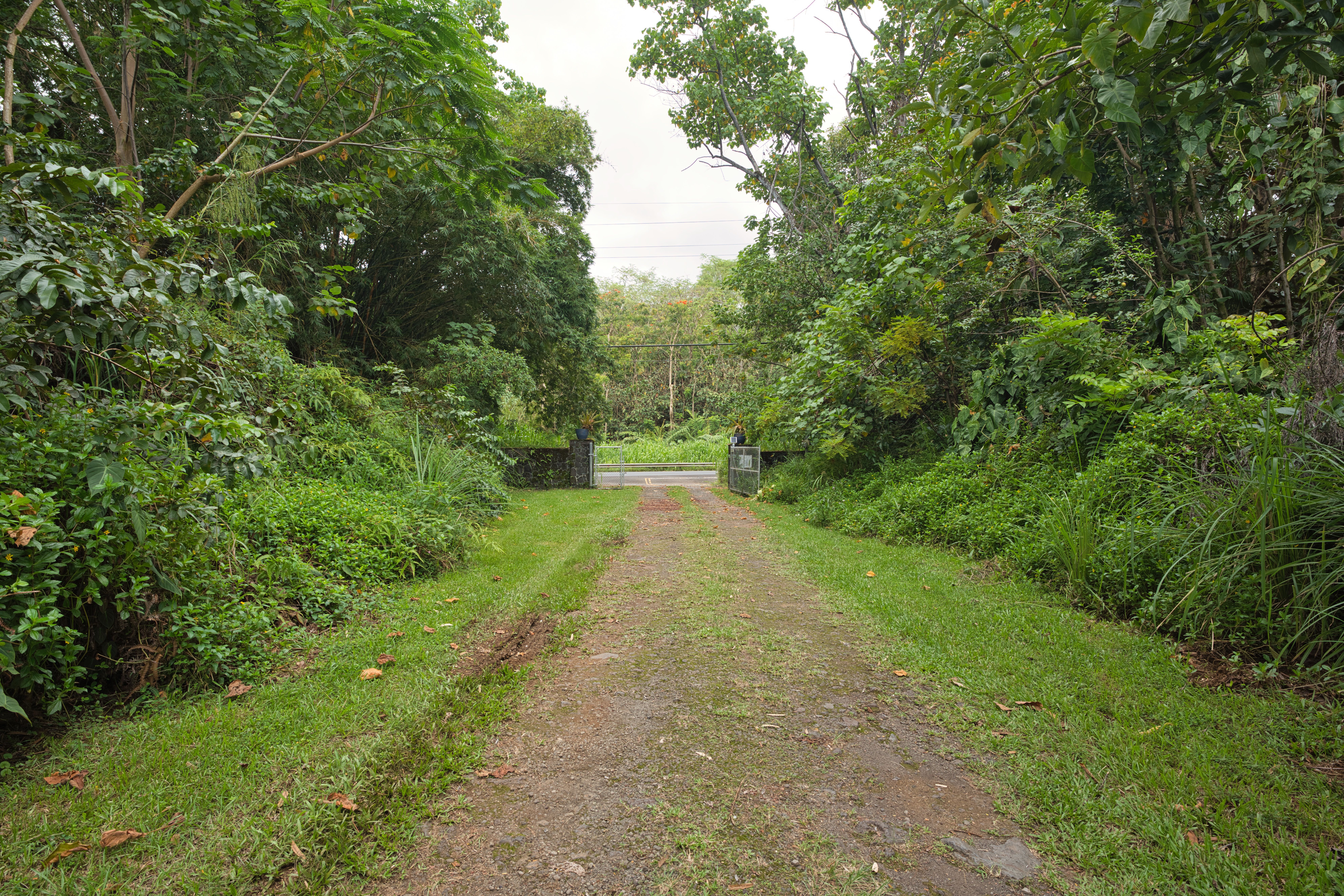  27-2430 Hawaii Belt Rd, Papaikou, HI, 96781 - 物件實景