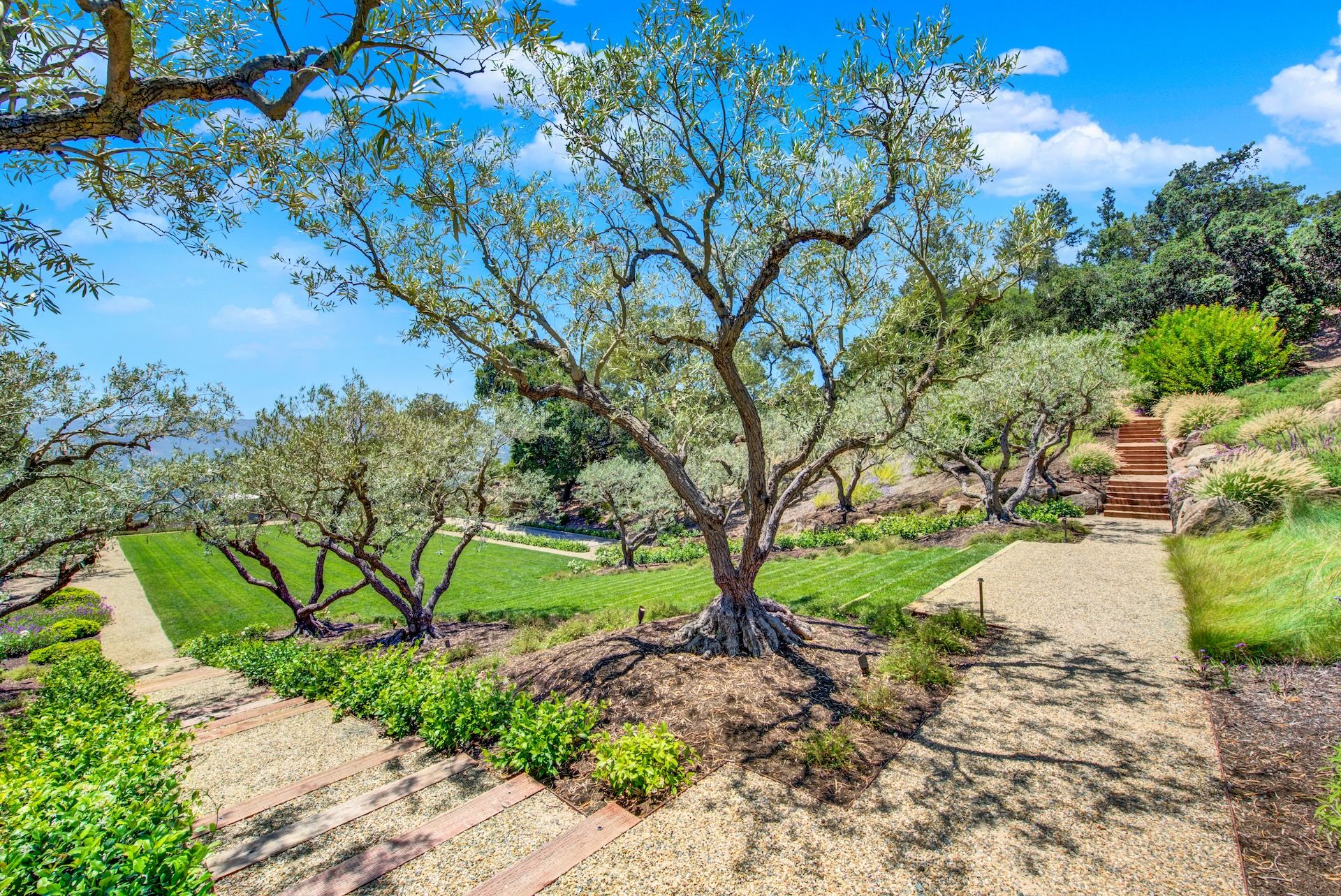  Exceptional Napa Valley Estate Set On 40 Private Acres - 物件實景