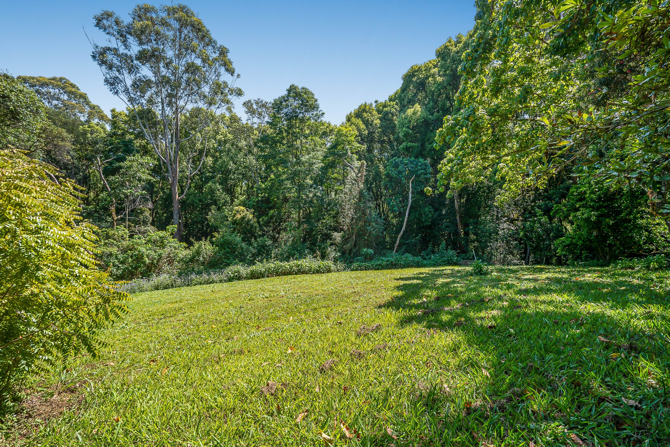  66 Newes Road, Coorabell - 物件實景