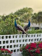 Cape Canaveral, Florida, 32920, United States, 3 Bedrooms Bedrooms, ,2 BathroomsBathrooms,Residential,For Sale,1942154