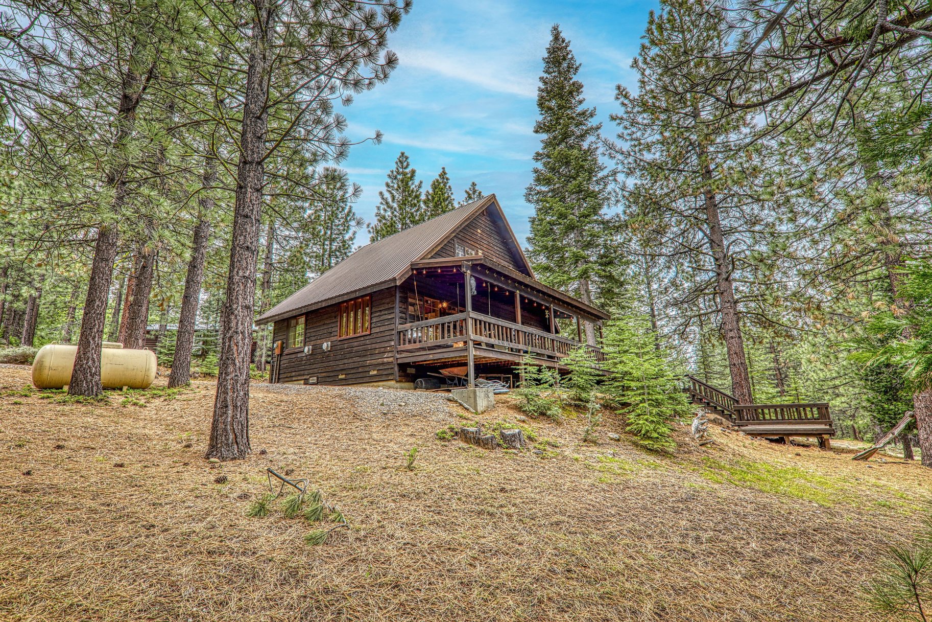  Cozy Cabin near Lake Davis - 物件實景