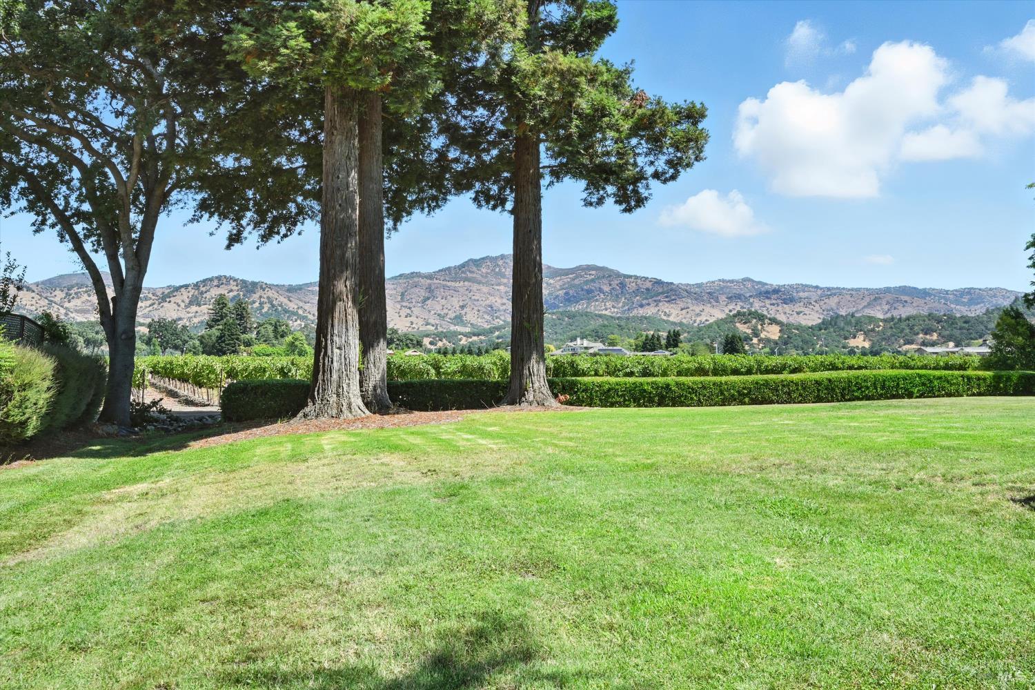 Yountville, California, 94599, United States, 2 Bedrooms Bedrooms, ,2 BathroomsBathrooms,Residential,For Sale,1941662