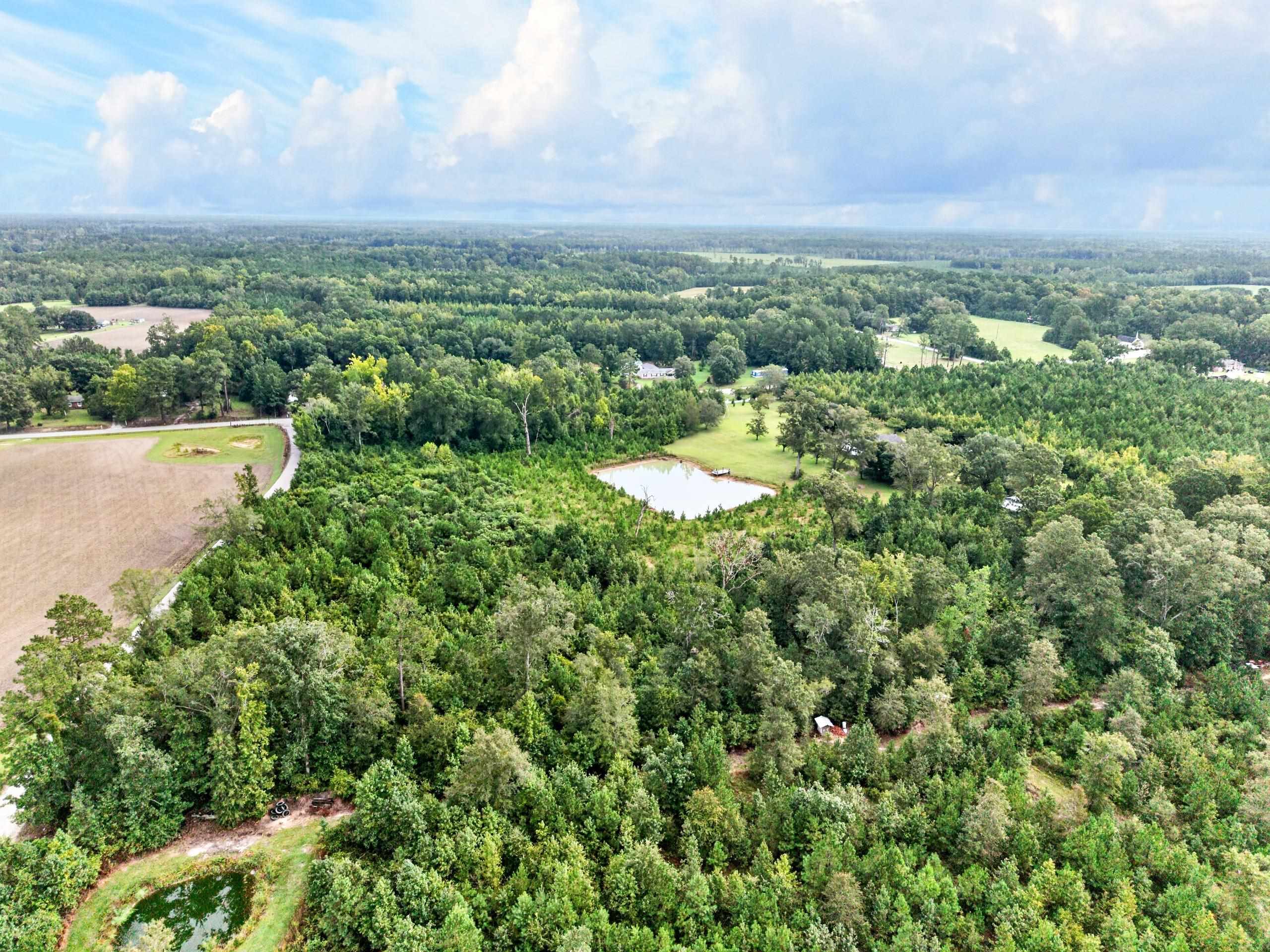  8812 Thurgood Marshall Hwy  Andrews, SC - 物件實景