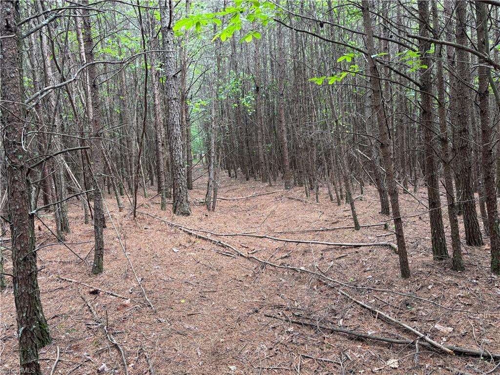 Pinnacle, North Carolina, 27043, United States, ,Land,For Sale,1829534
