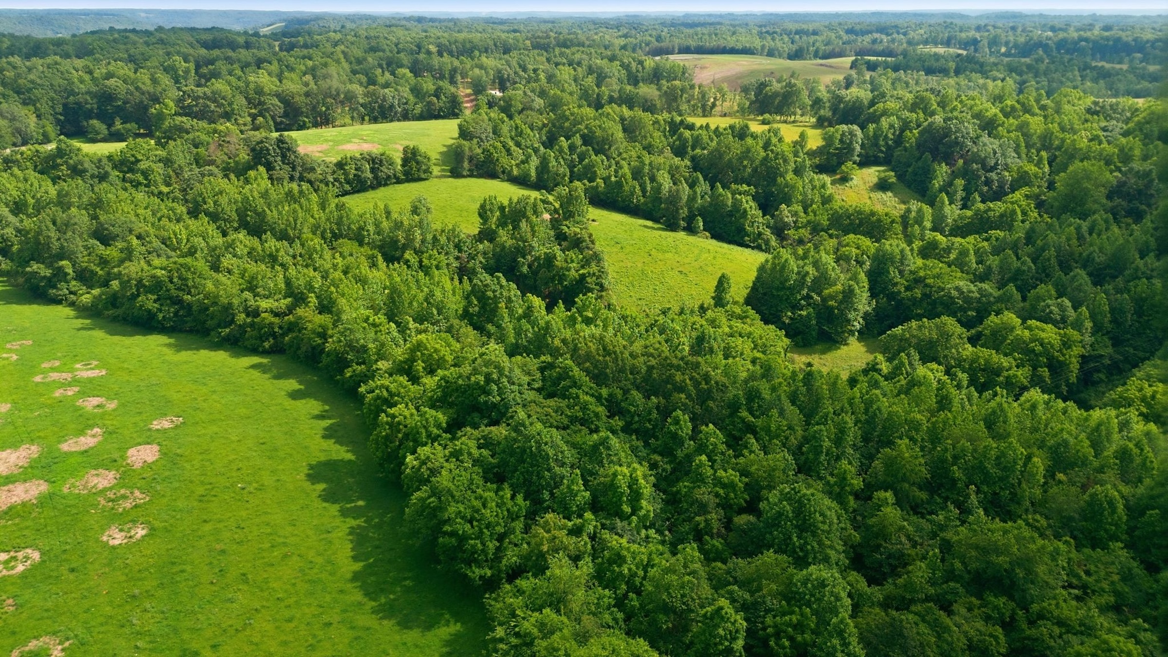  925 Sumac Rd, Pulaski, TN, 38478 - 物件實景