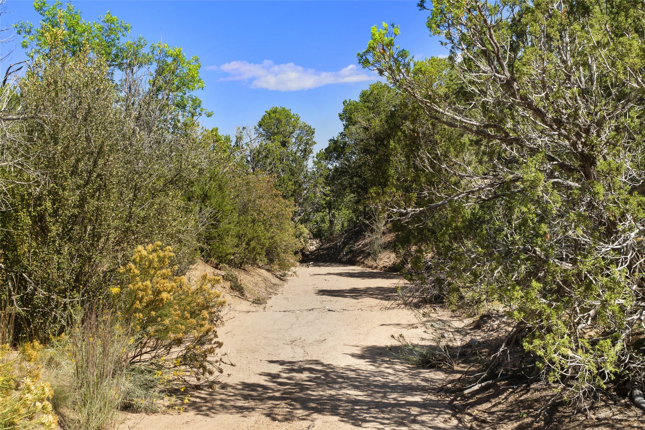 2901 Aspen View, Lot 185 - 物件實景