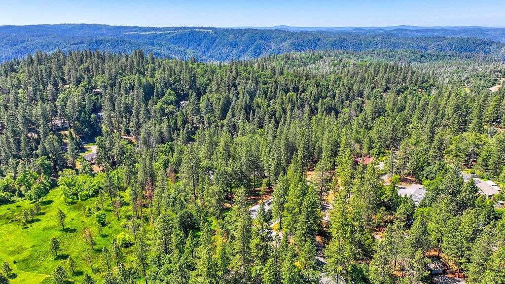 Foresthill, California, 95631, United States, 3 Bedrooms Bedrooms, ,2 BathroomsBathrooms,Residential,For Sale,1819375