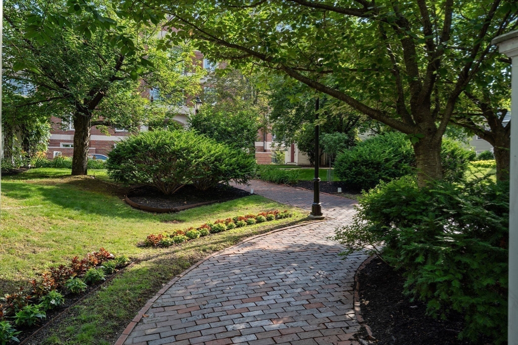 Cambridge, Massachusetts, 02138, United States, 1 Bedroom Bedrooms, ,1 BathroomBathrooms,Residential,For Sale,1883124