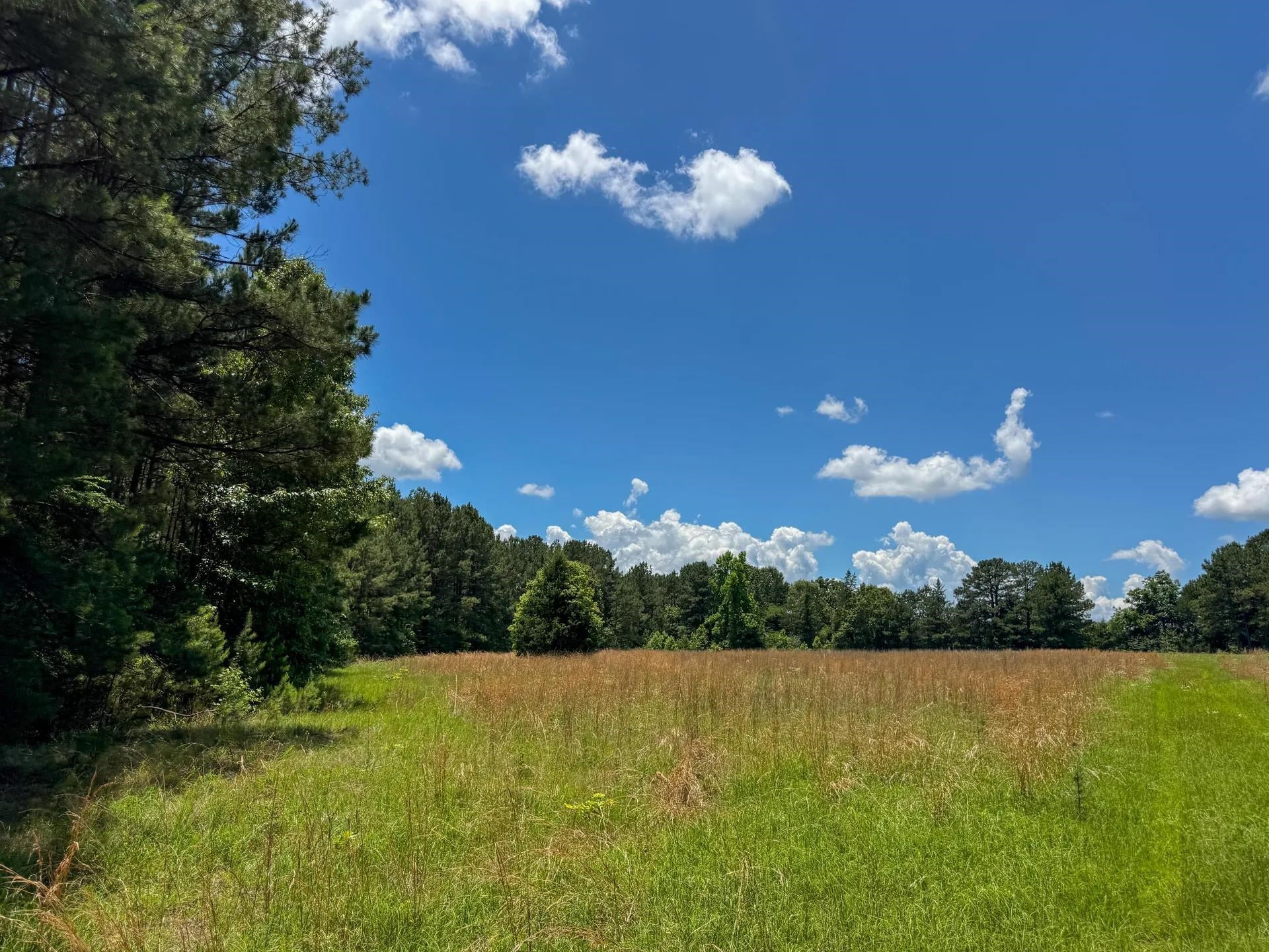 Douglassville, Texas, 75560, United States, ,Land,For Sale,2048006
