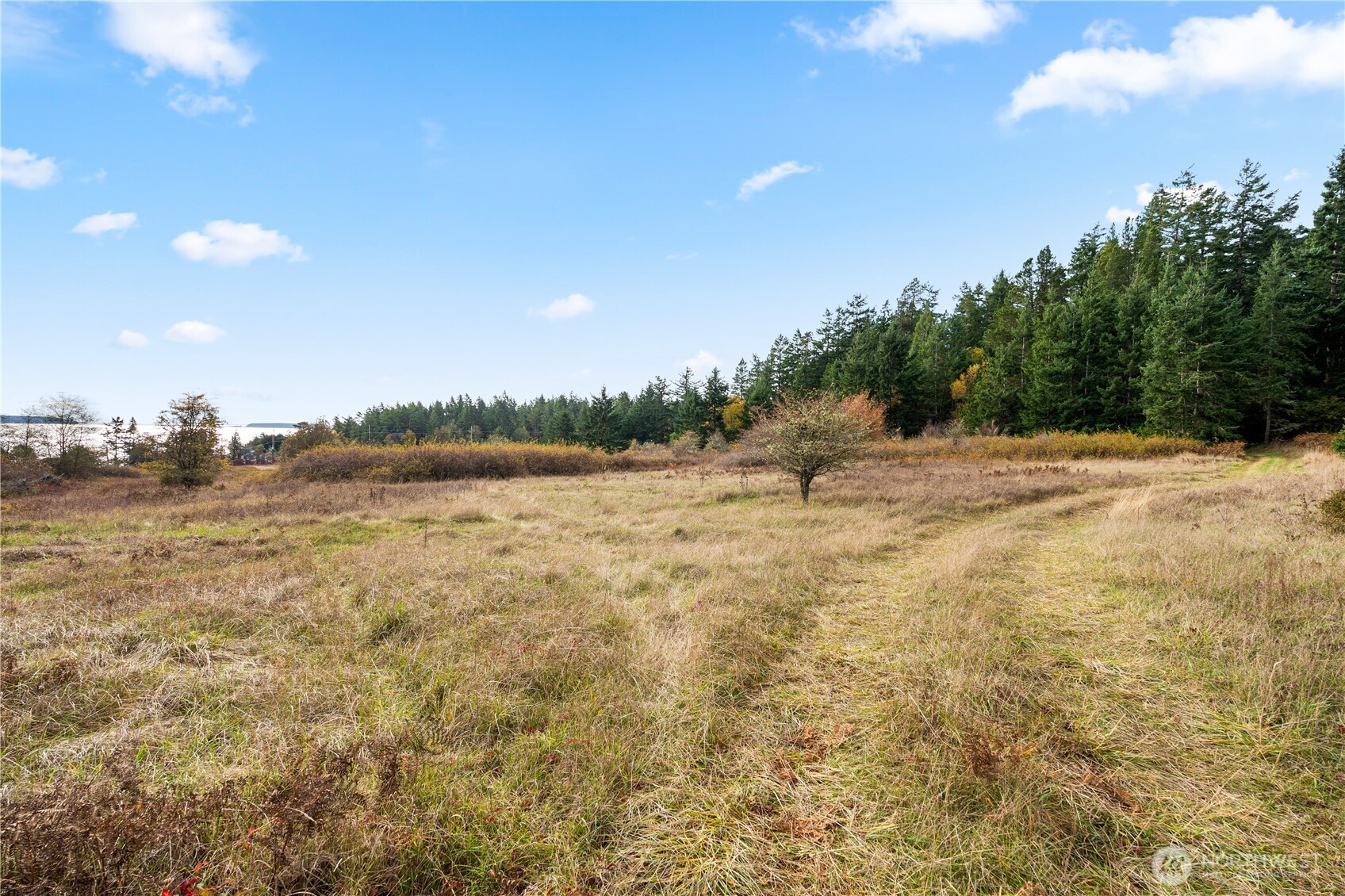 Friday Harbor, Washington, 98250, United States, ,Land,For Sale,1991931