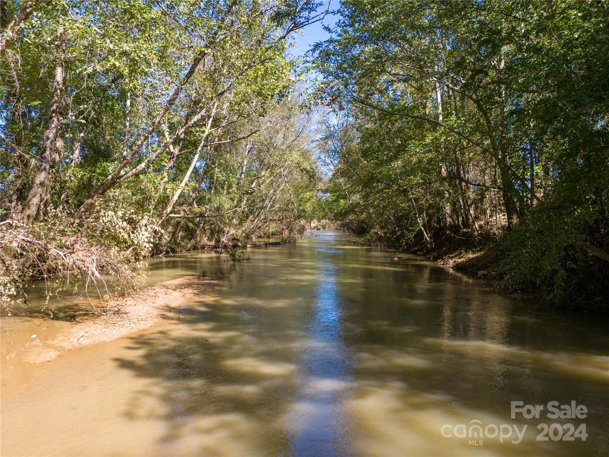 Pacolet Road, Landrum, South Carolina, 29356, United States, ,Residential,For Sale,Pacolet Road,1640585